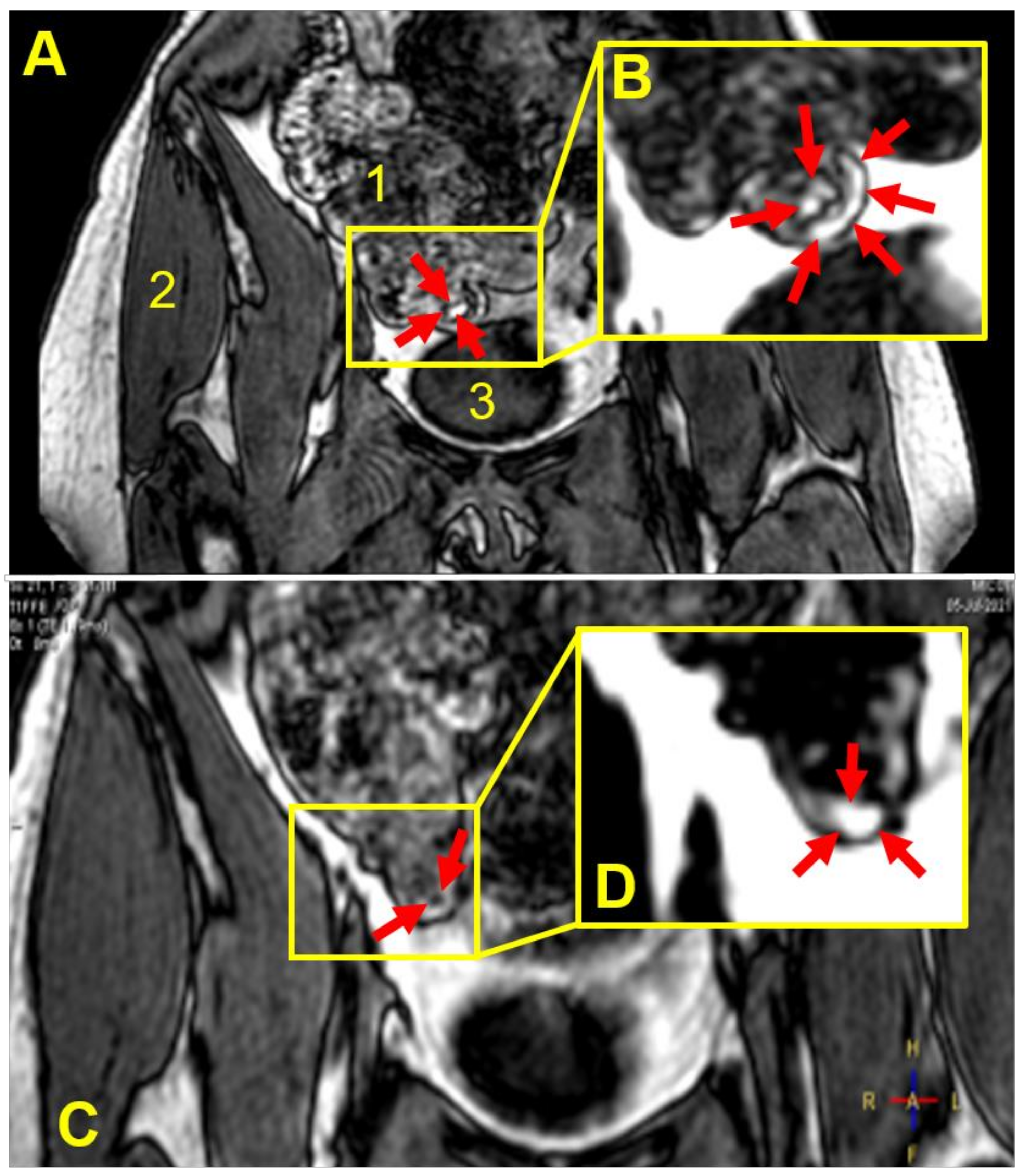 Pharmaceutics 14 00270 g004