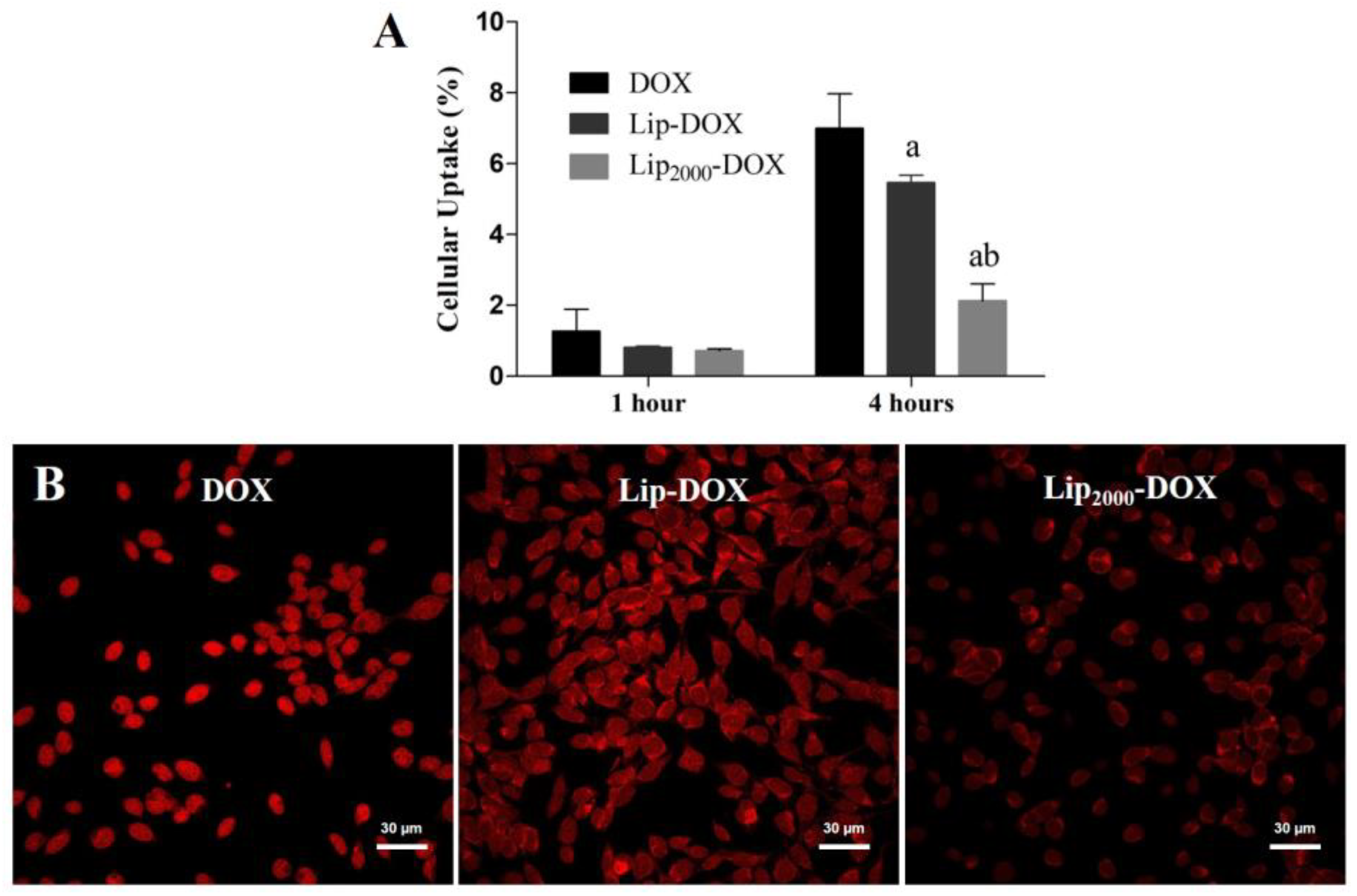 Pharmaceutics 14 00272 g002 550