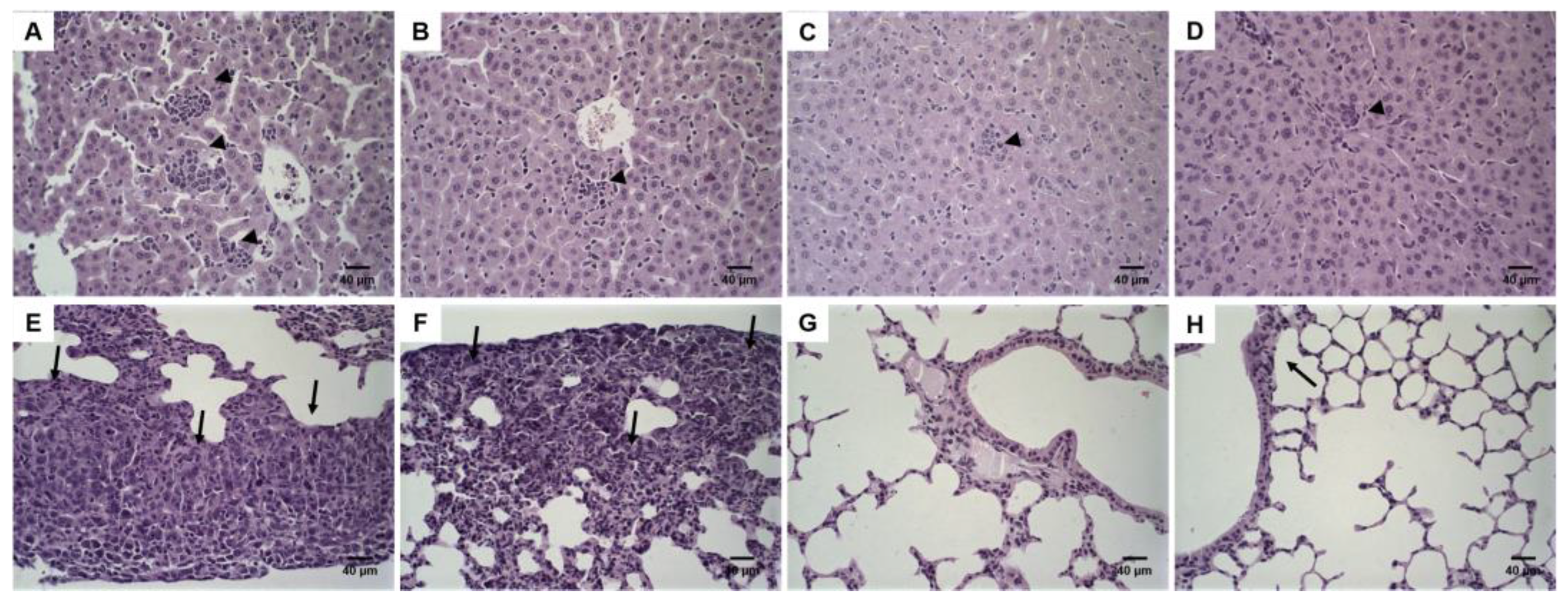Pharmaceutics 14 00272 g005 550