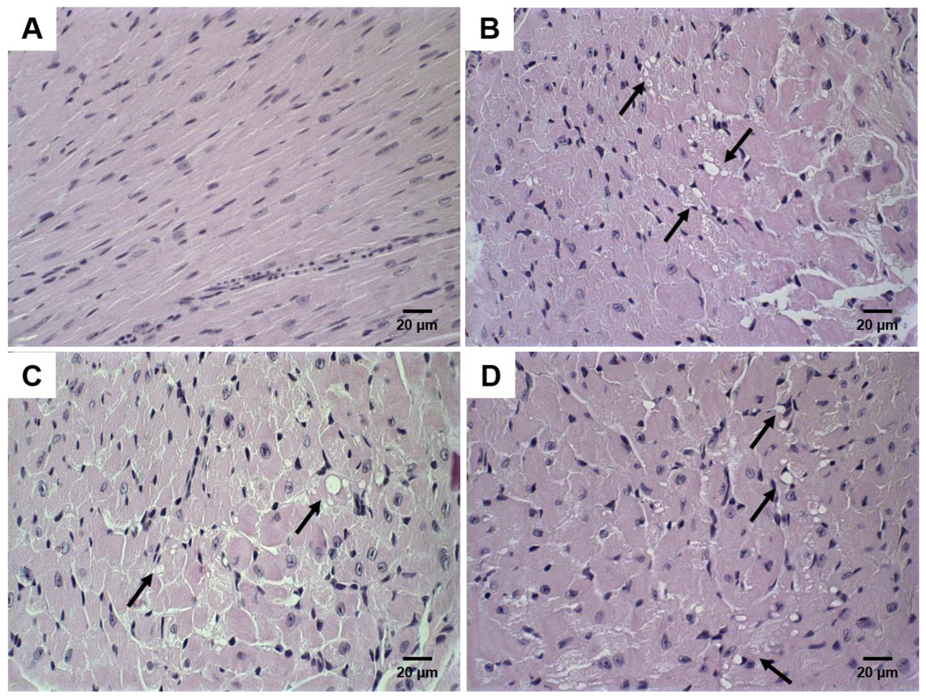 Pharmaceutics 14 00272 g006 550