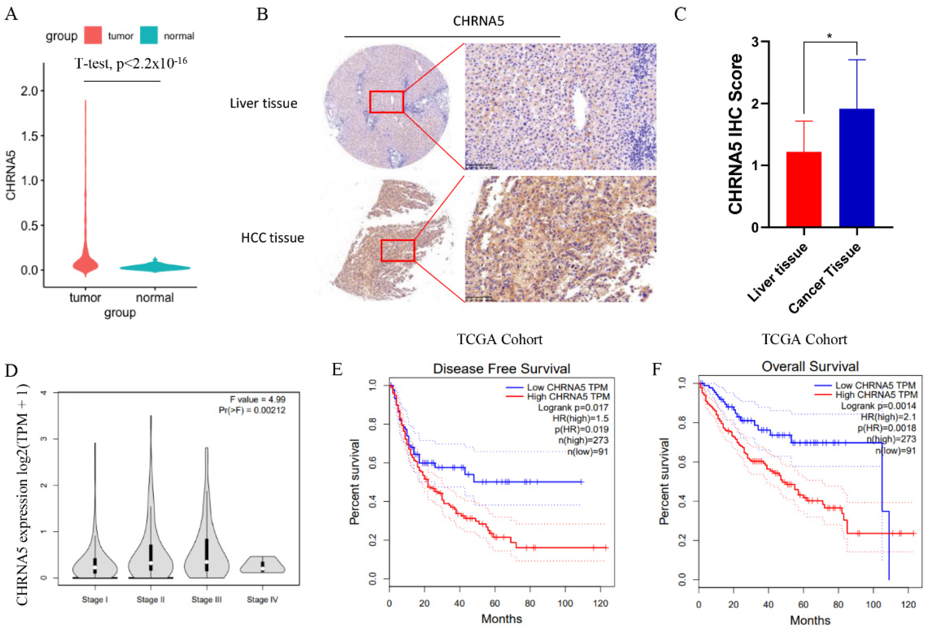 Pharmaceutics | Free Full-Text | CHRNA5 Contributes to Hepatocellular  Carcinoma Progression by Regulating YAP Activity | HTML