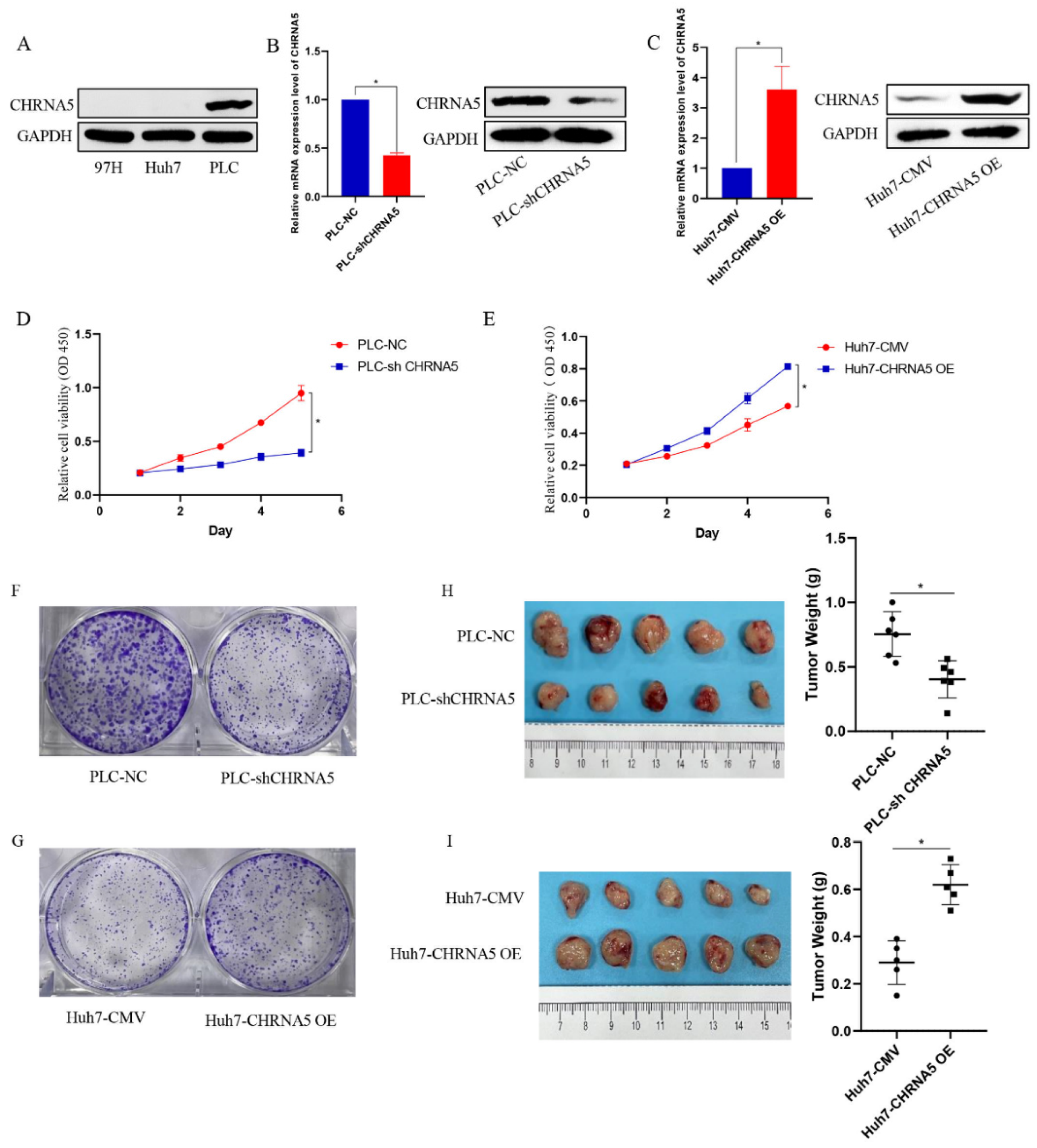 Pharmaceutics 14 00275 g002