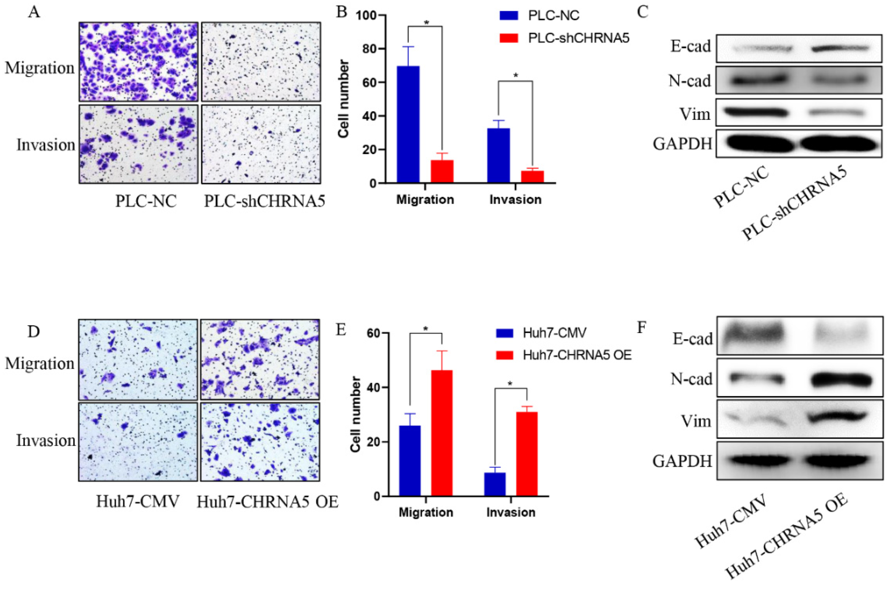 Pharmaceutics 14 00275 g003