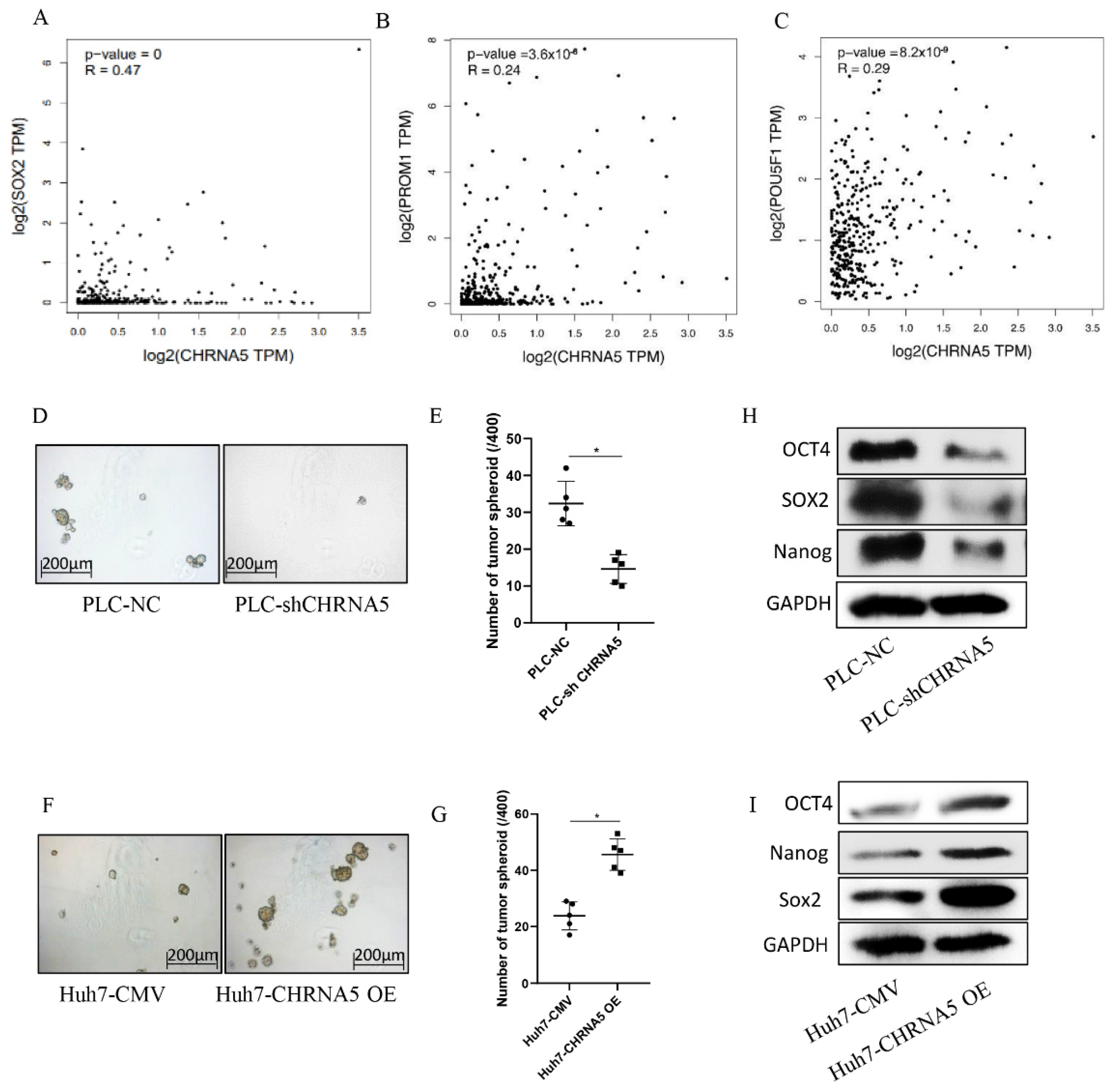 Pharmaceutics 14 00275 g004