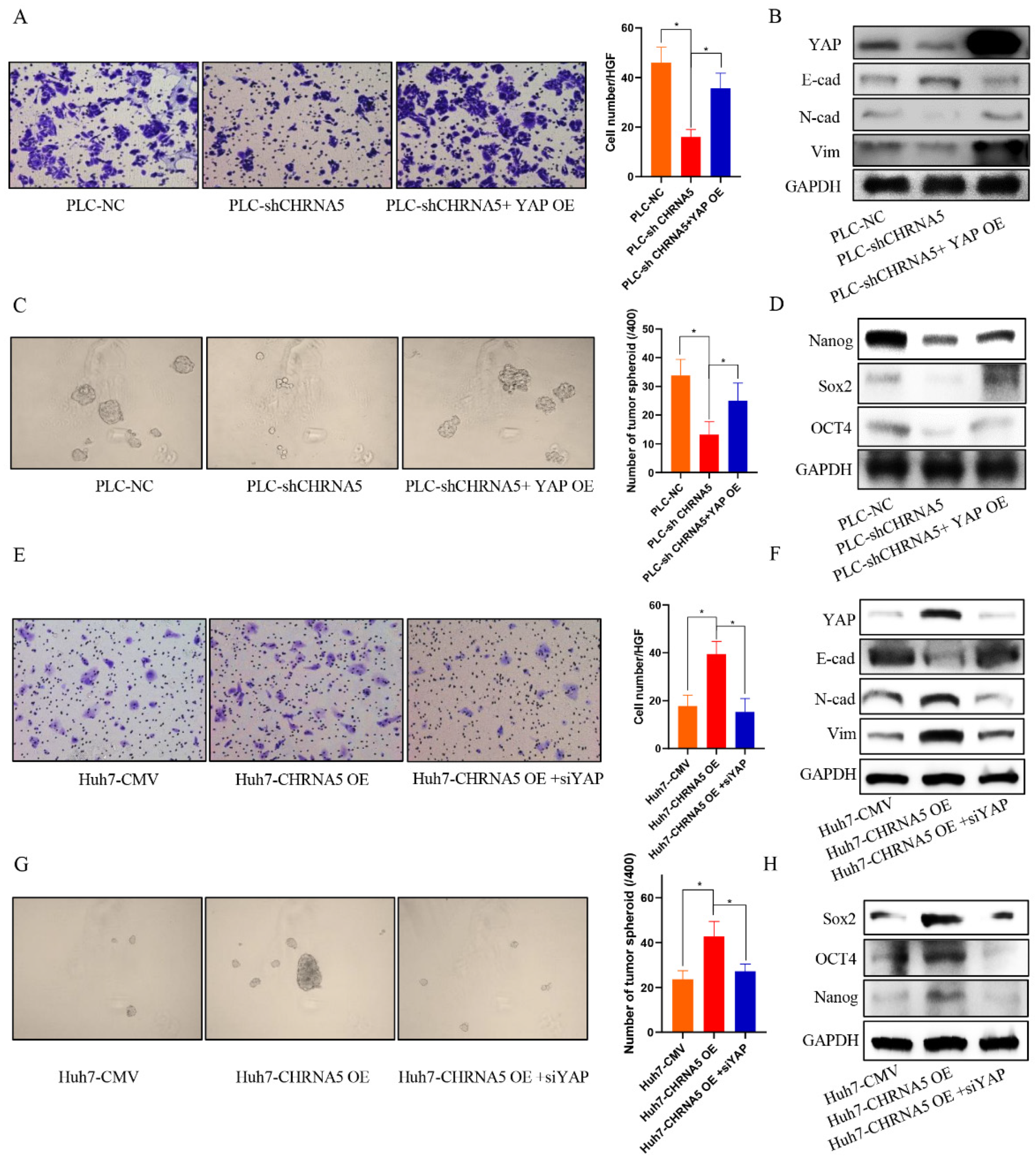 Pharmaceutics 14 00275 g006