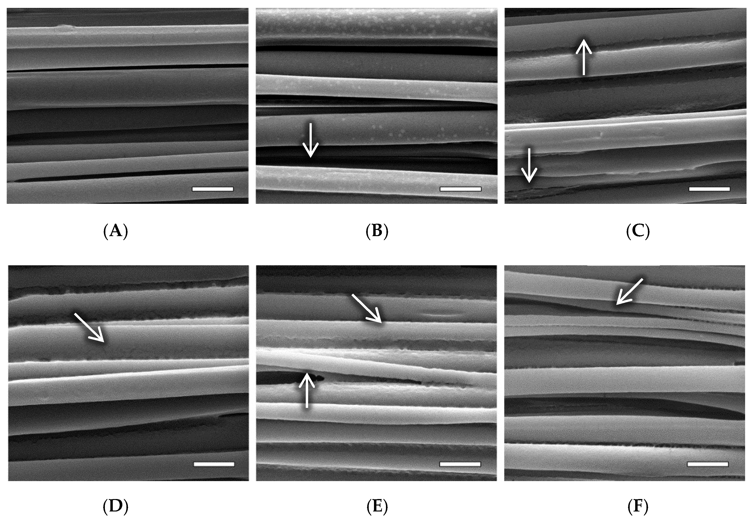 Pharmaceutics 14 00277 g006