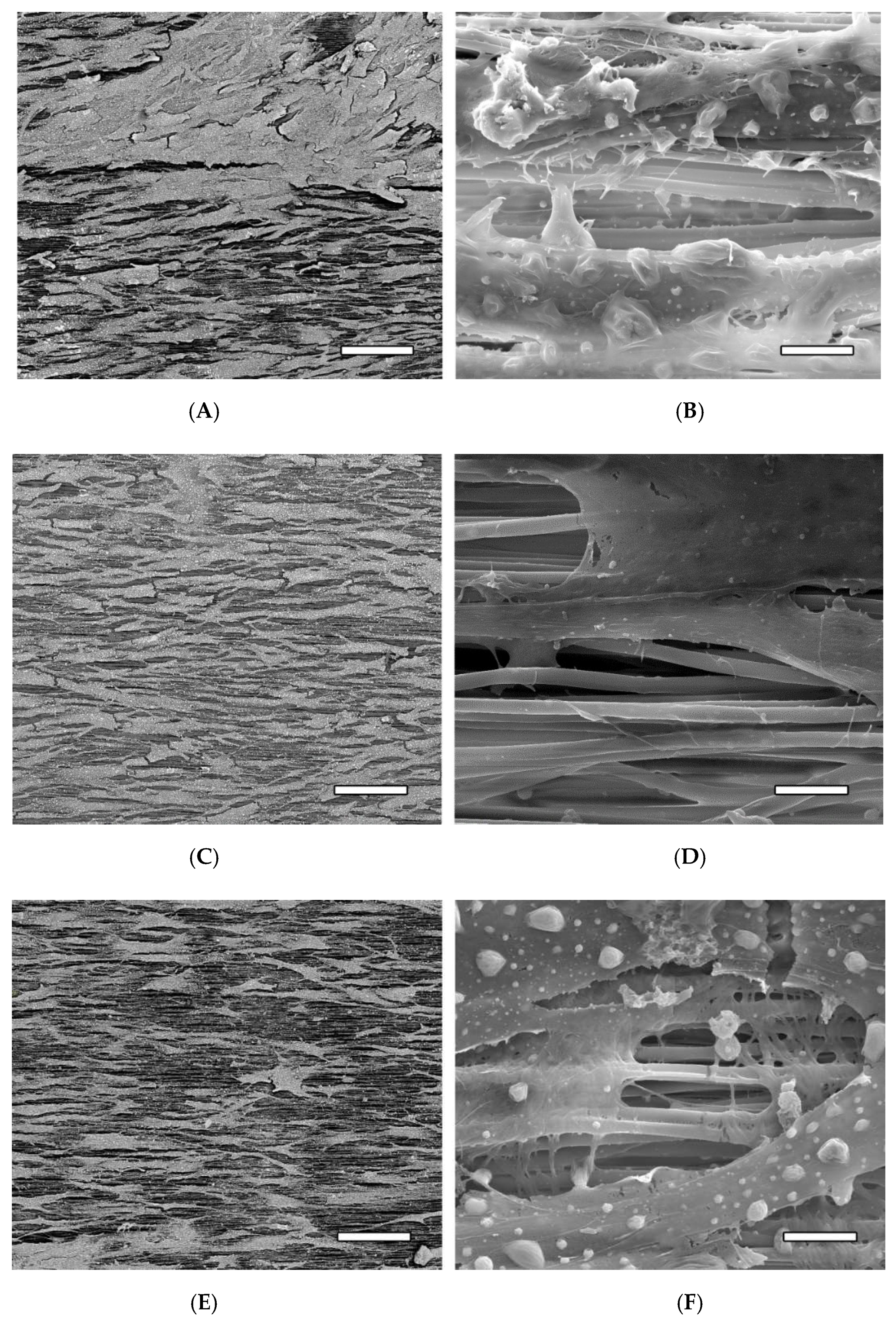Pharmaceutics 14 00277 g011