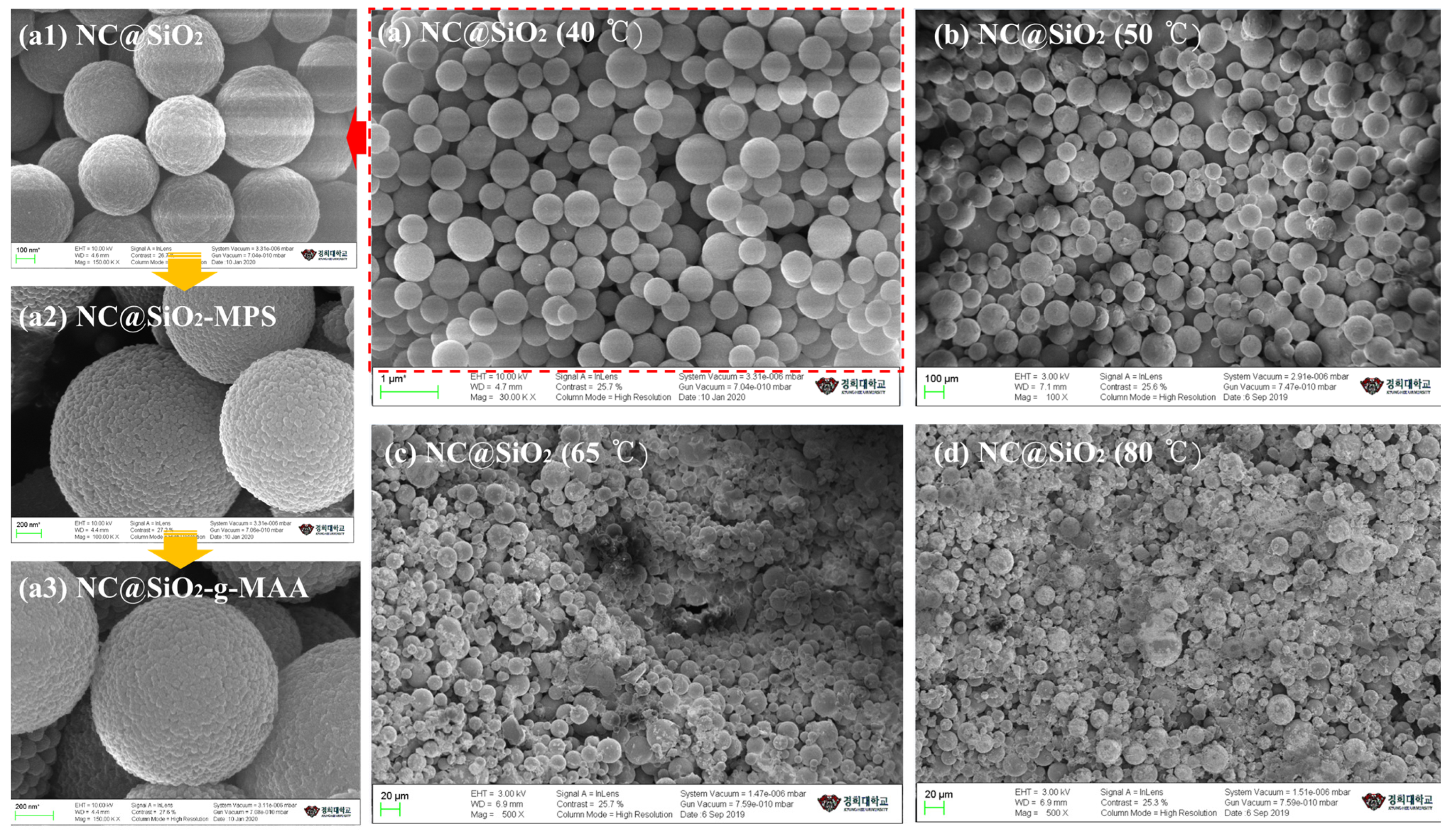 Pharmaceutics 14 00280 g002