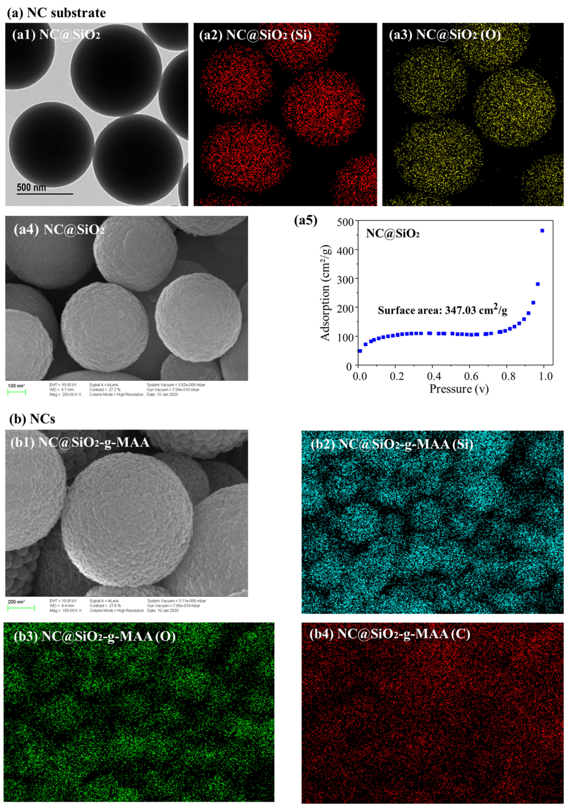 Pharmaceutics 14 00280 g003