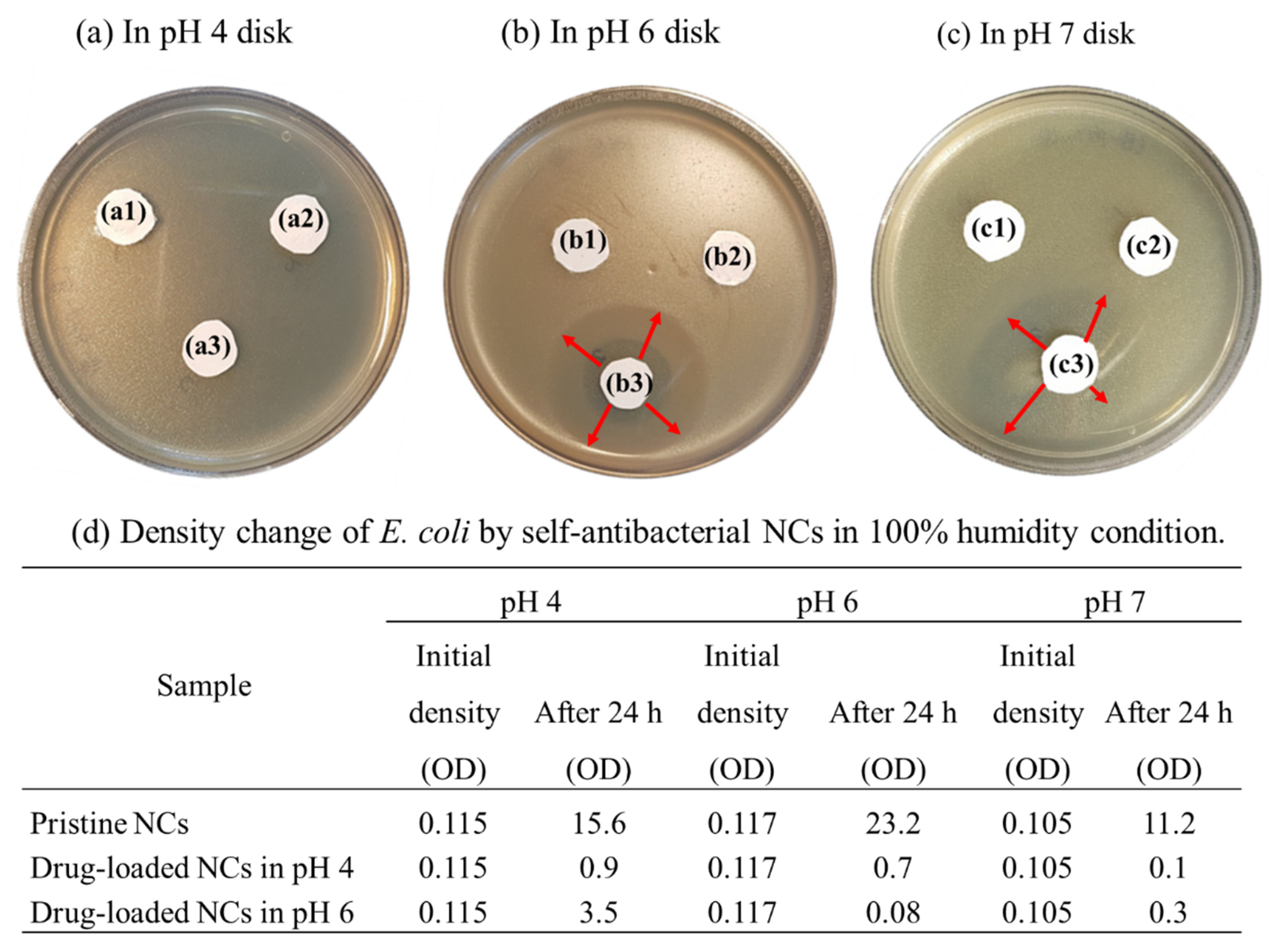 Pharmaceutics 14 00280 g008