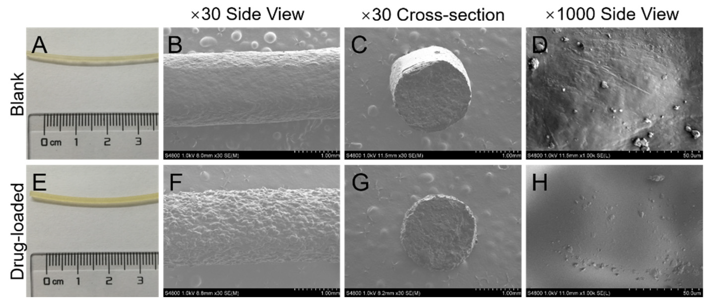 Pharmaceutics 14 00281 g003 Pharmaceutics 14 00281 g003