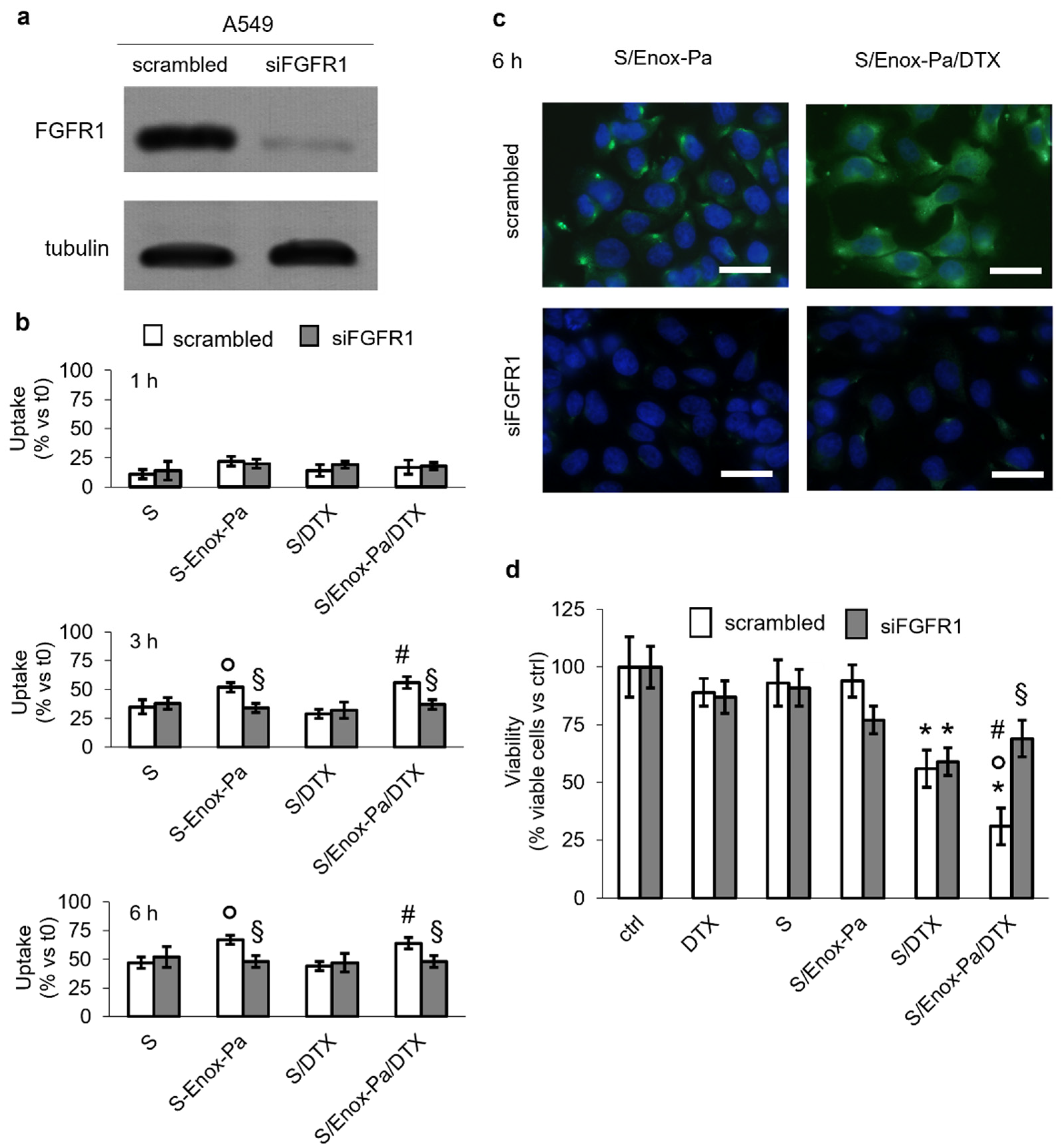 Pharmaceutics 14 00292 g002