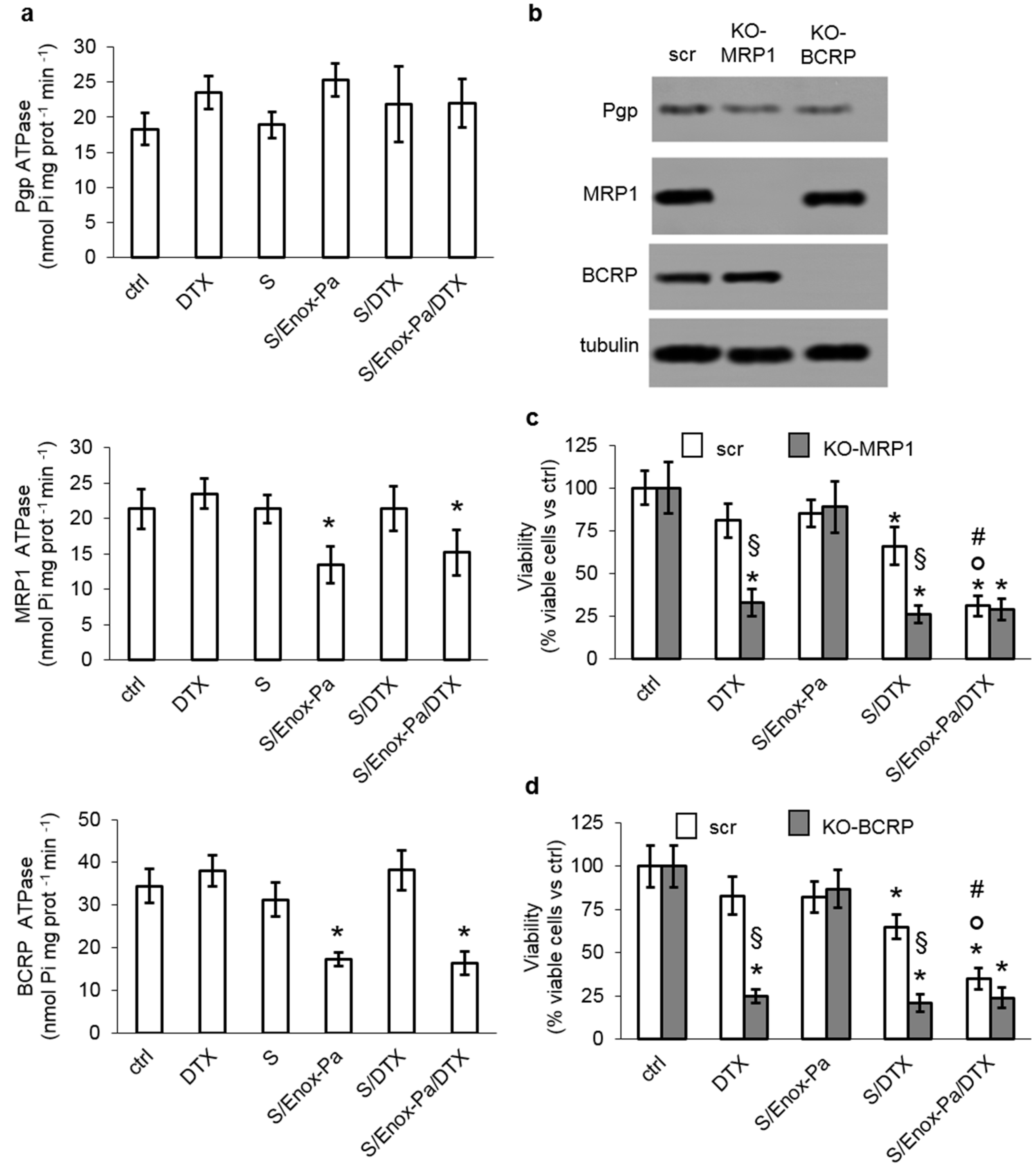 Pharmaceutics 14 00292 g003
