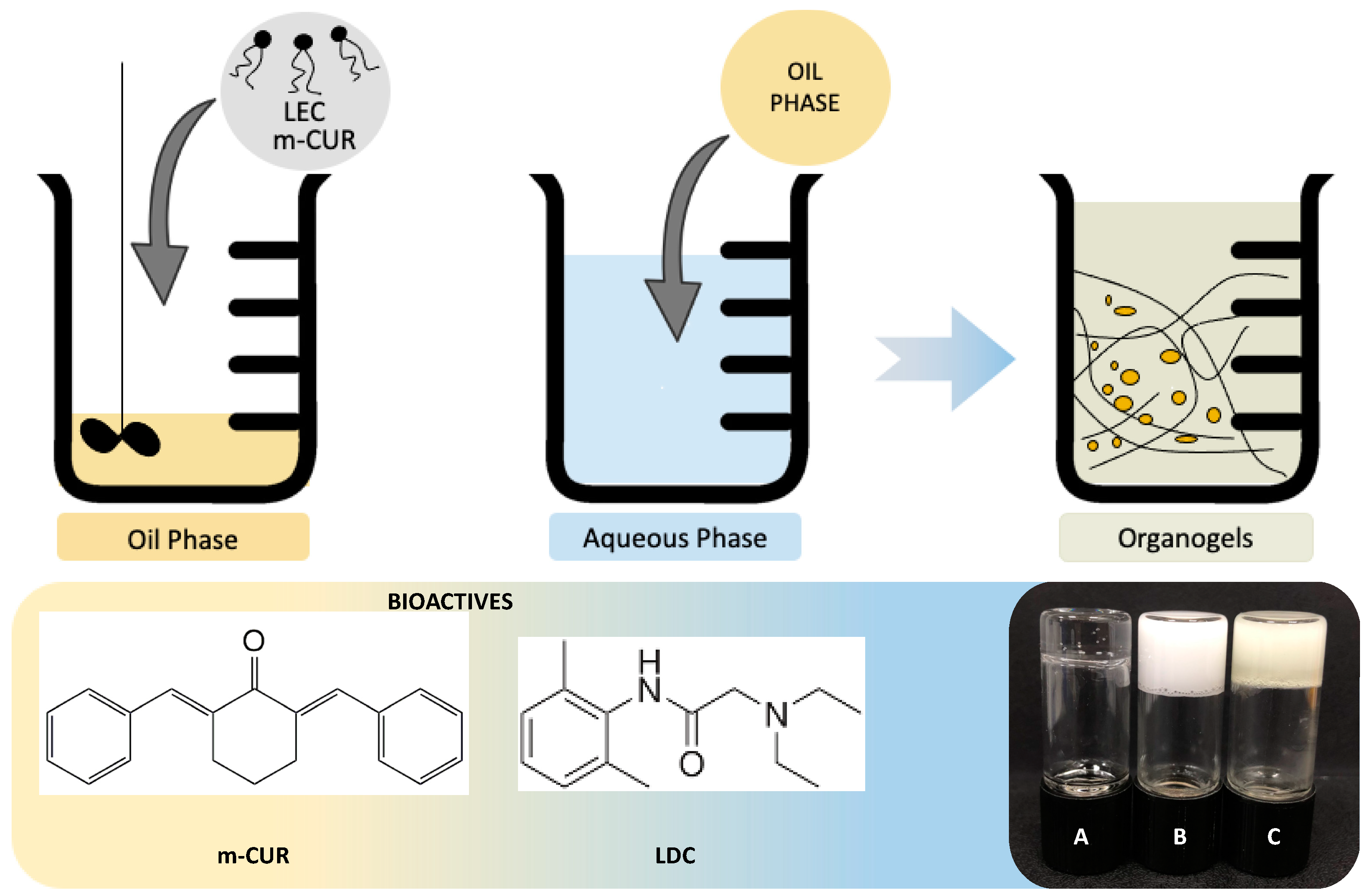 Pharmaceutics 14 00293 g002 Pharmaceutics 14 00293 g002