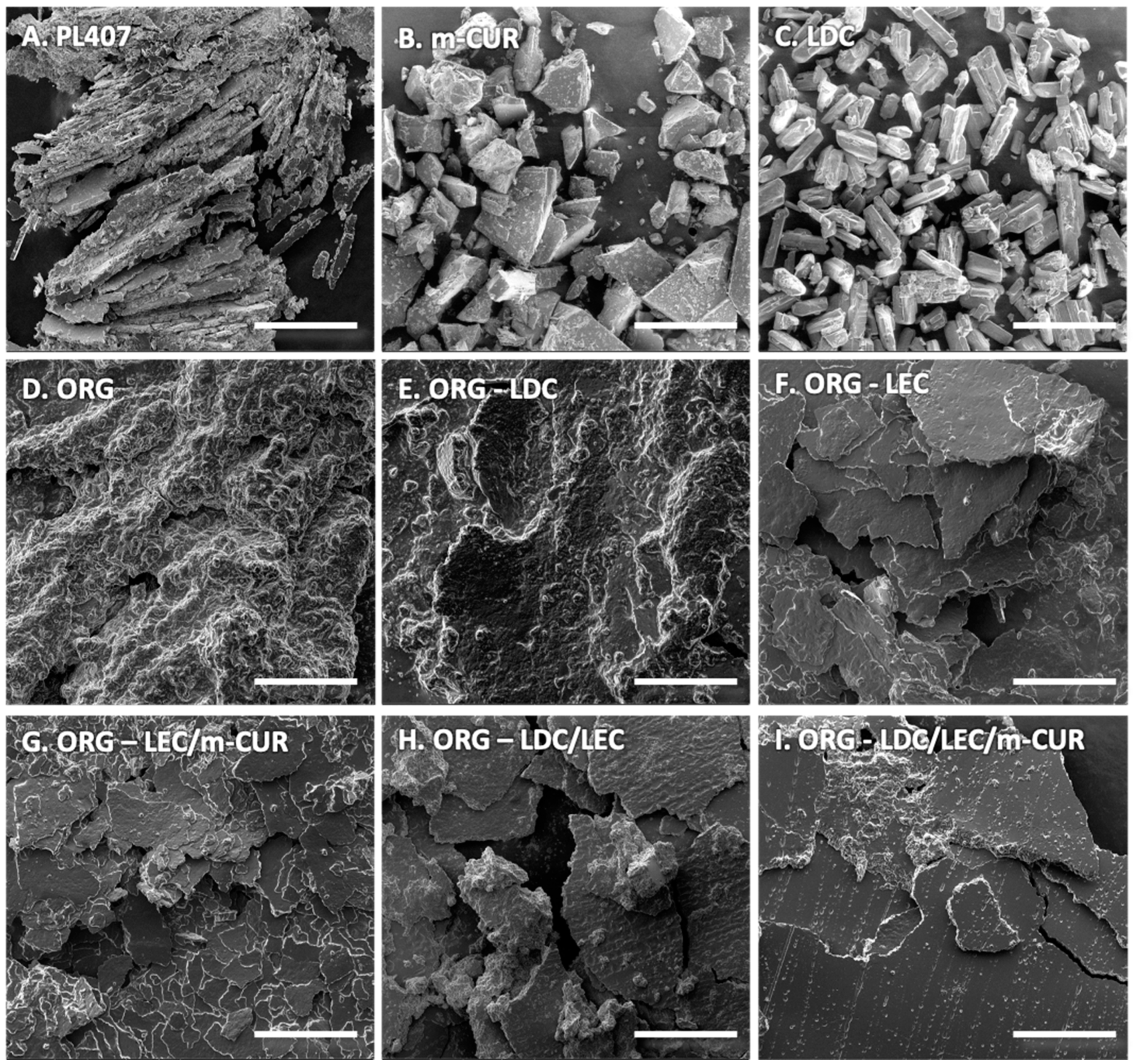 Pharmaceutics 14 00293 g003 Pharmaceutics 14 00293 g003