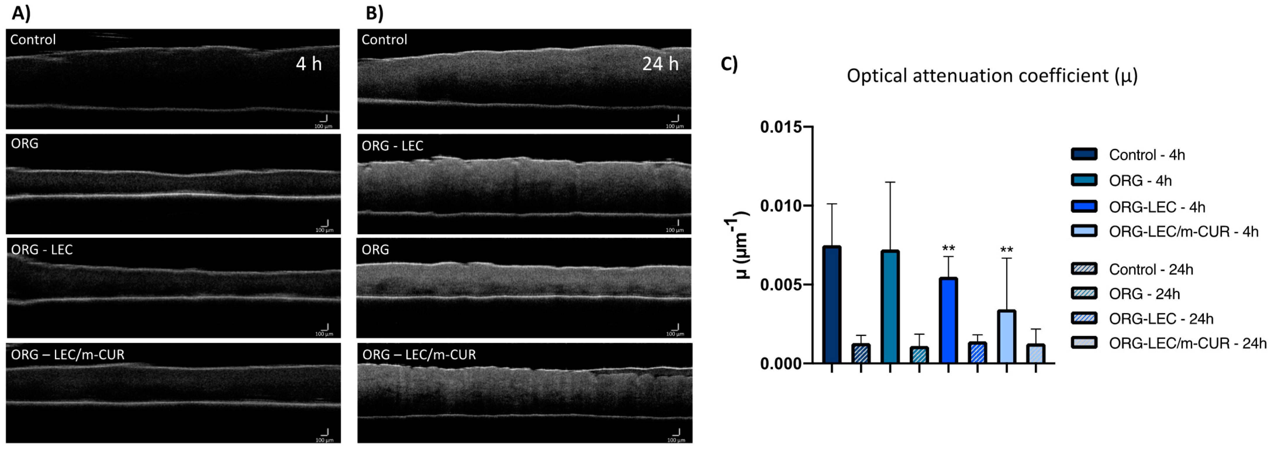 Pharmaceutics 14 00293 g008 Pharmaceutics 14 00293 g008