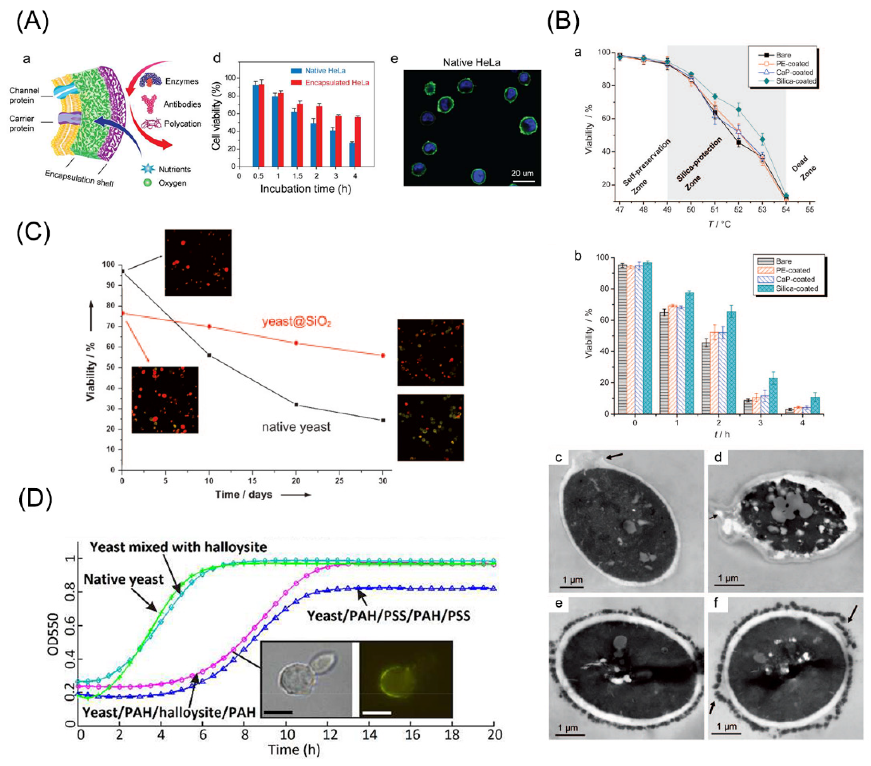 Pharmaceutics 14 00297 g004 Pharmaceutics 14 00297 g004