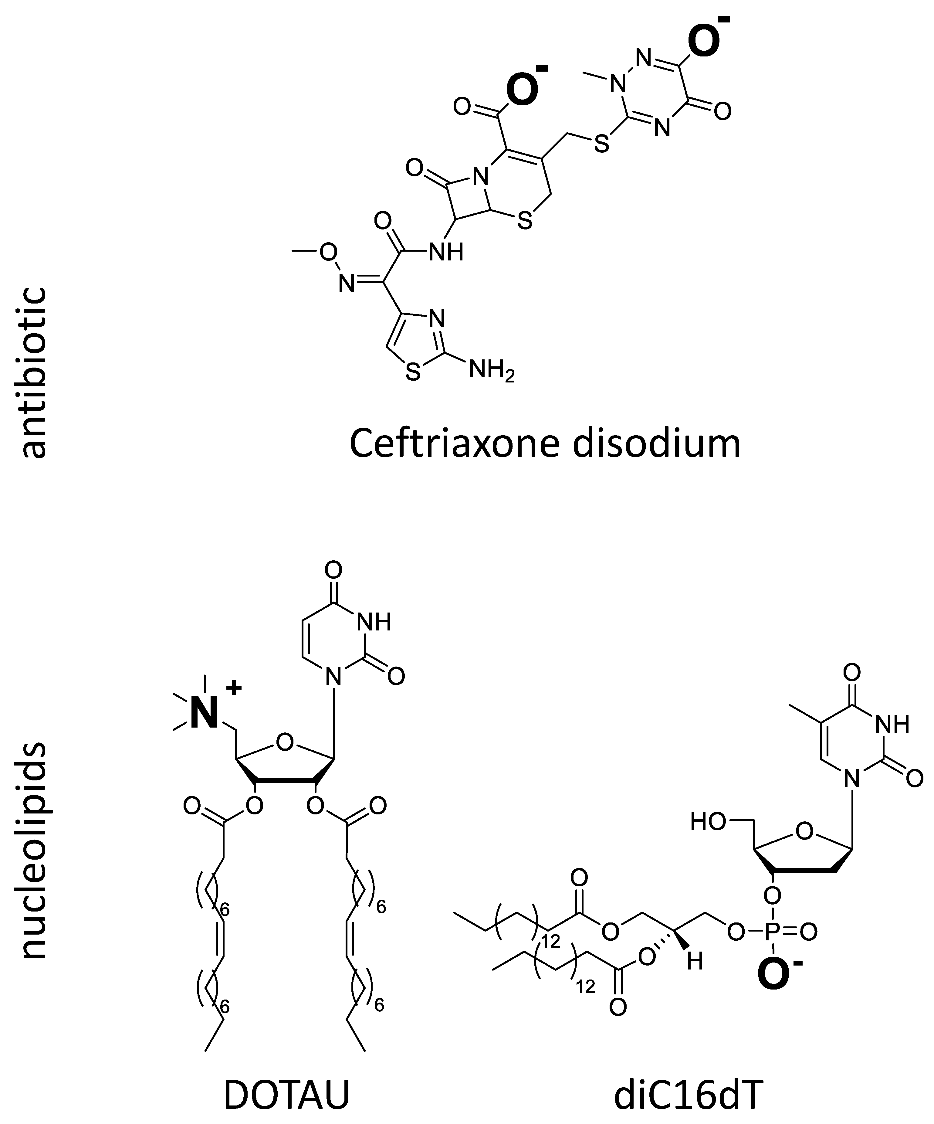 Pharmaceutics 14 00299 g001 Pharmaceutics 14 00299 g001