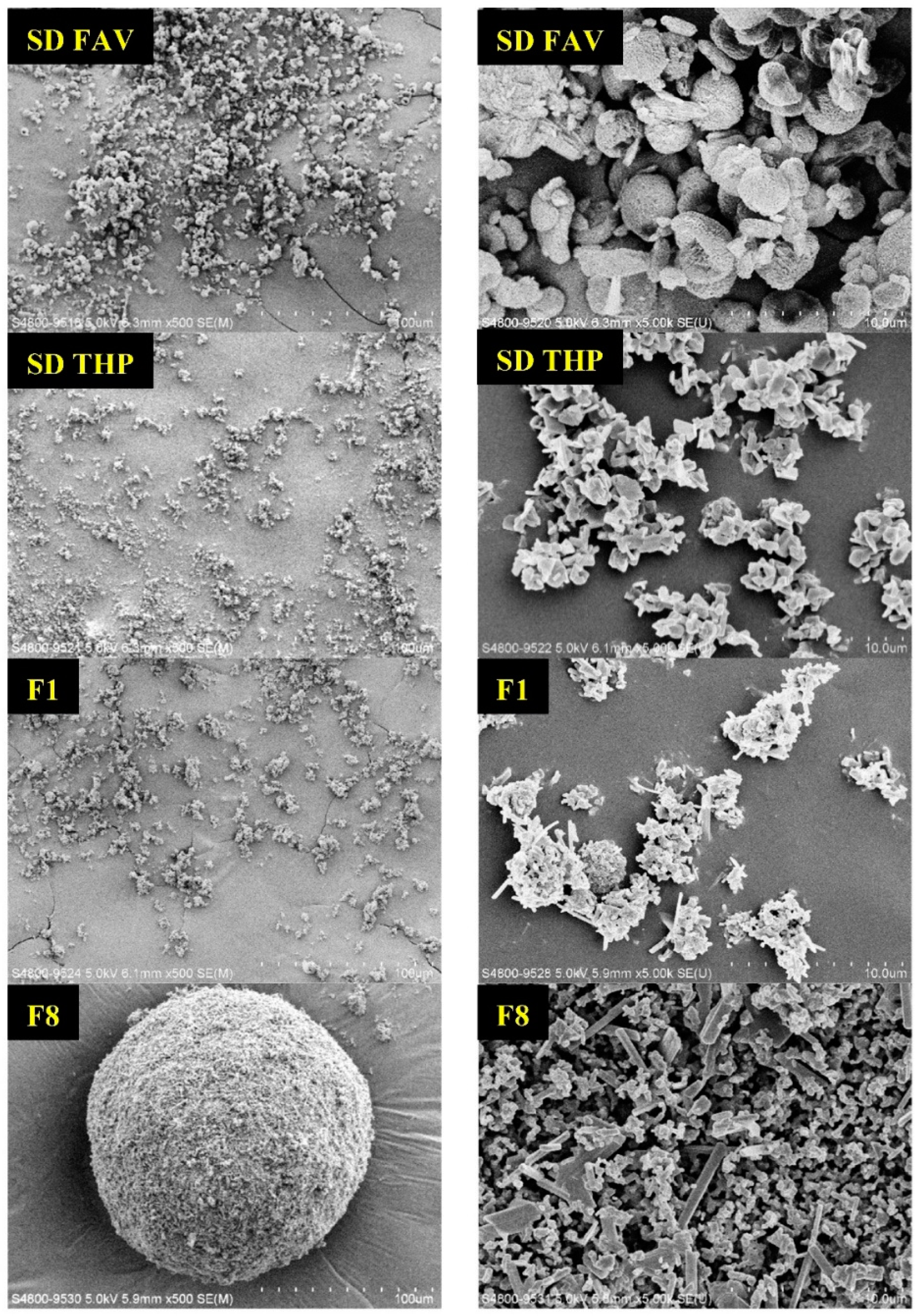 Pharmaceutics 14 00300 g009b
