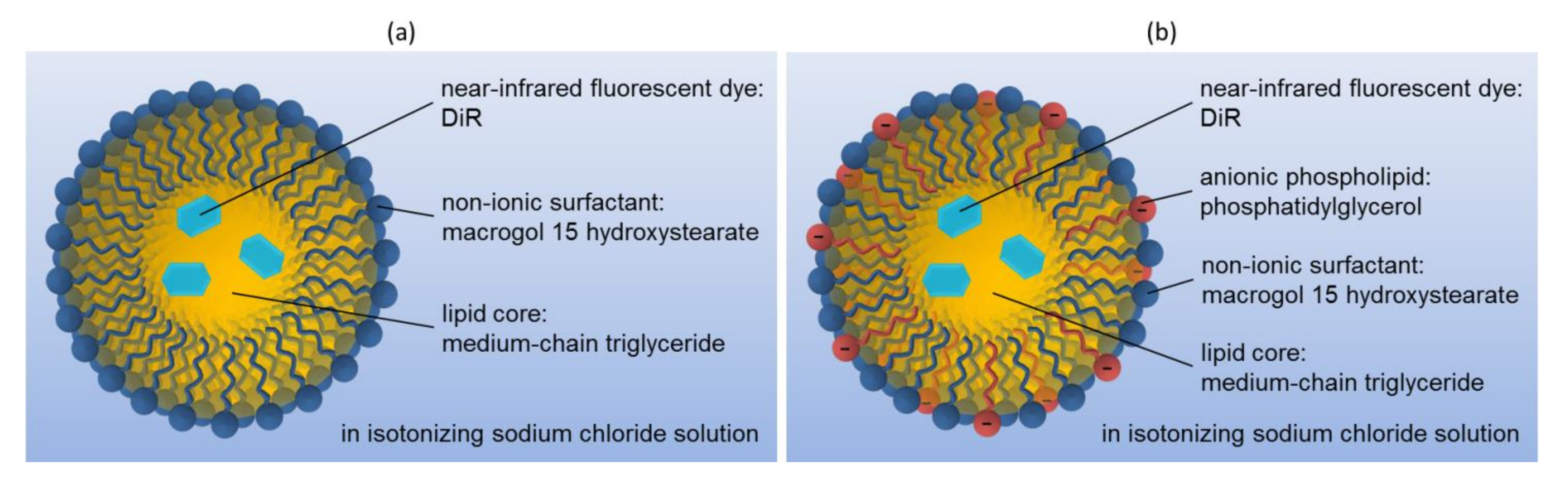 Pharmaceutics 14 00301 g001 Pharmaceutics 14 00301 g001