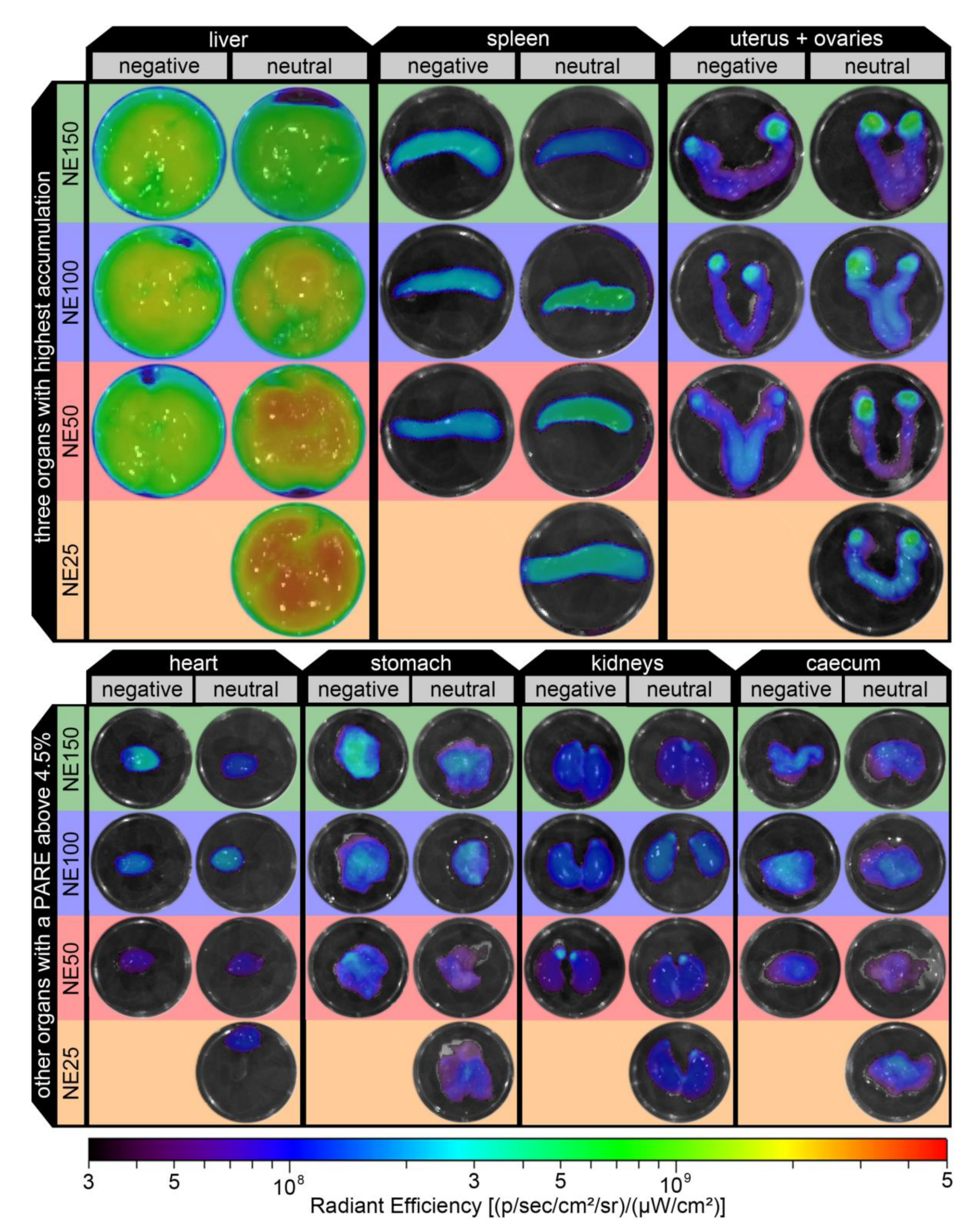 Pharmaceutics 14 00301 g012 Pharmaceutics 14 00301 g012