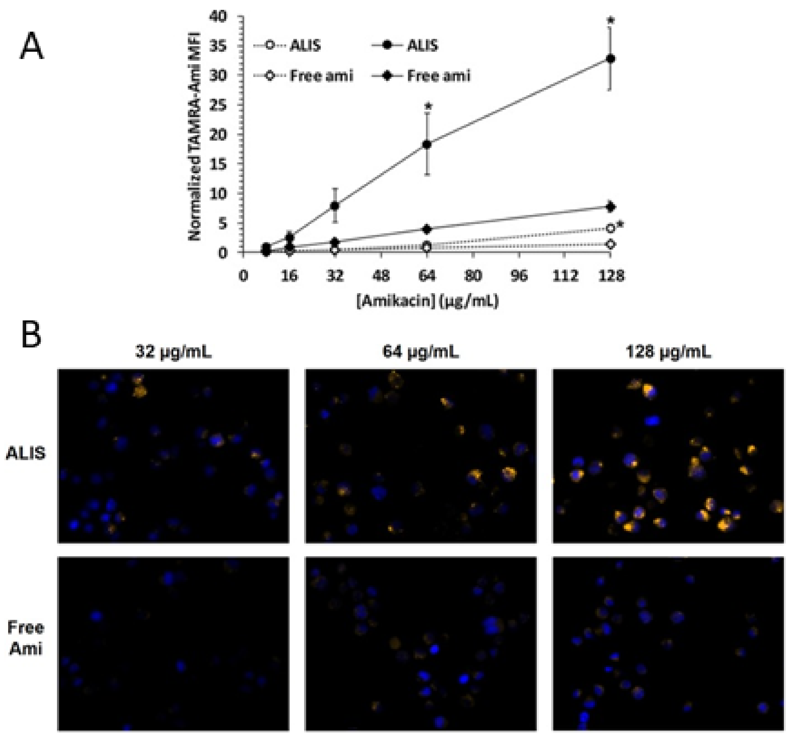 Pharmaceutics 14 00302 g008 Pharmaceutics 14 00302 g008