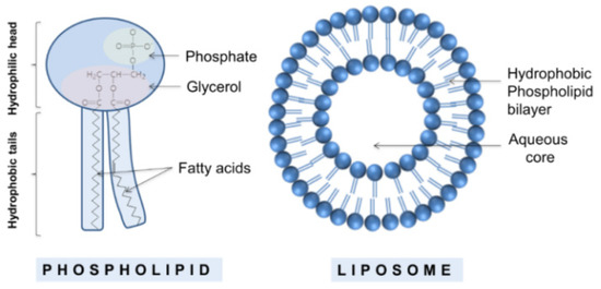 quicksilver scientific liposomal glutathione for mycotoxins Quicksilver Glutathione Complex