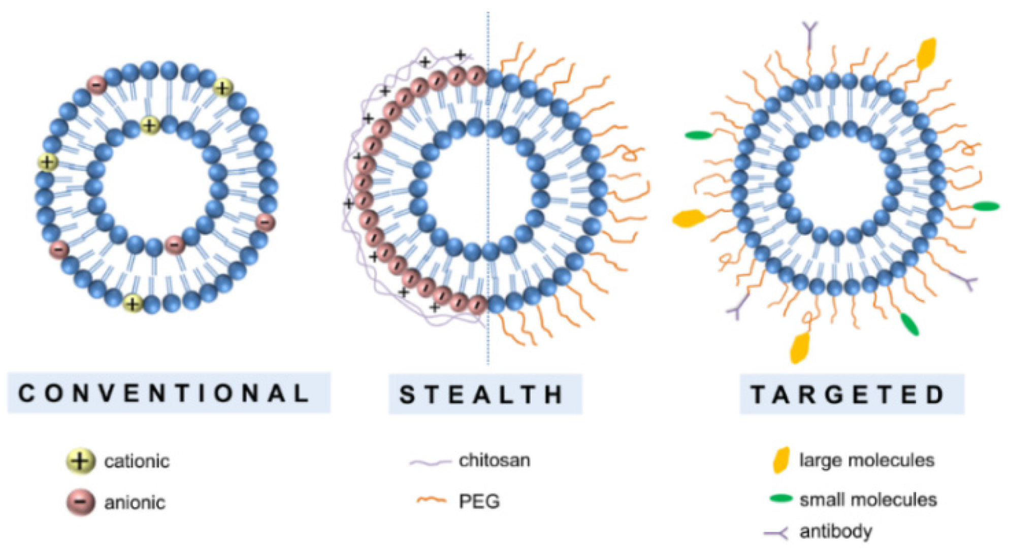 Pharmaceutics 14 00308 g002