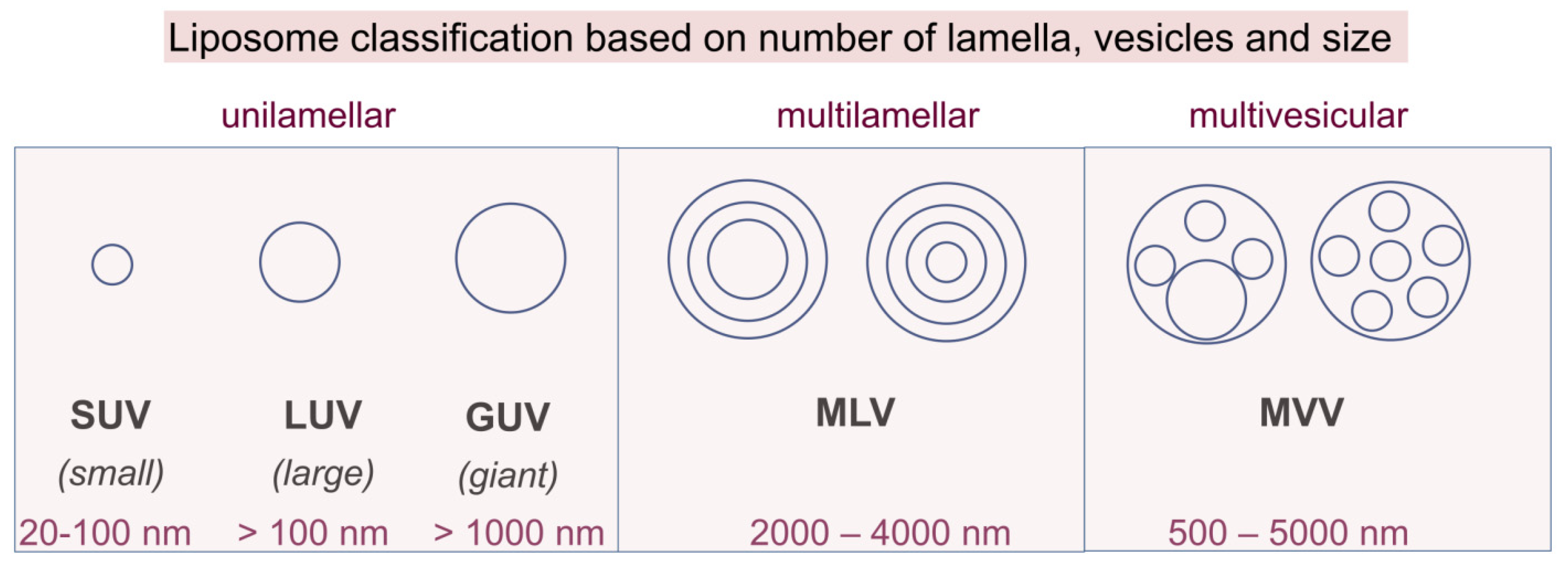 Pharmaceutics 14 00308 g008
