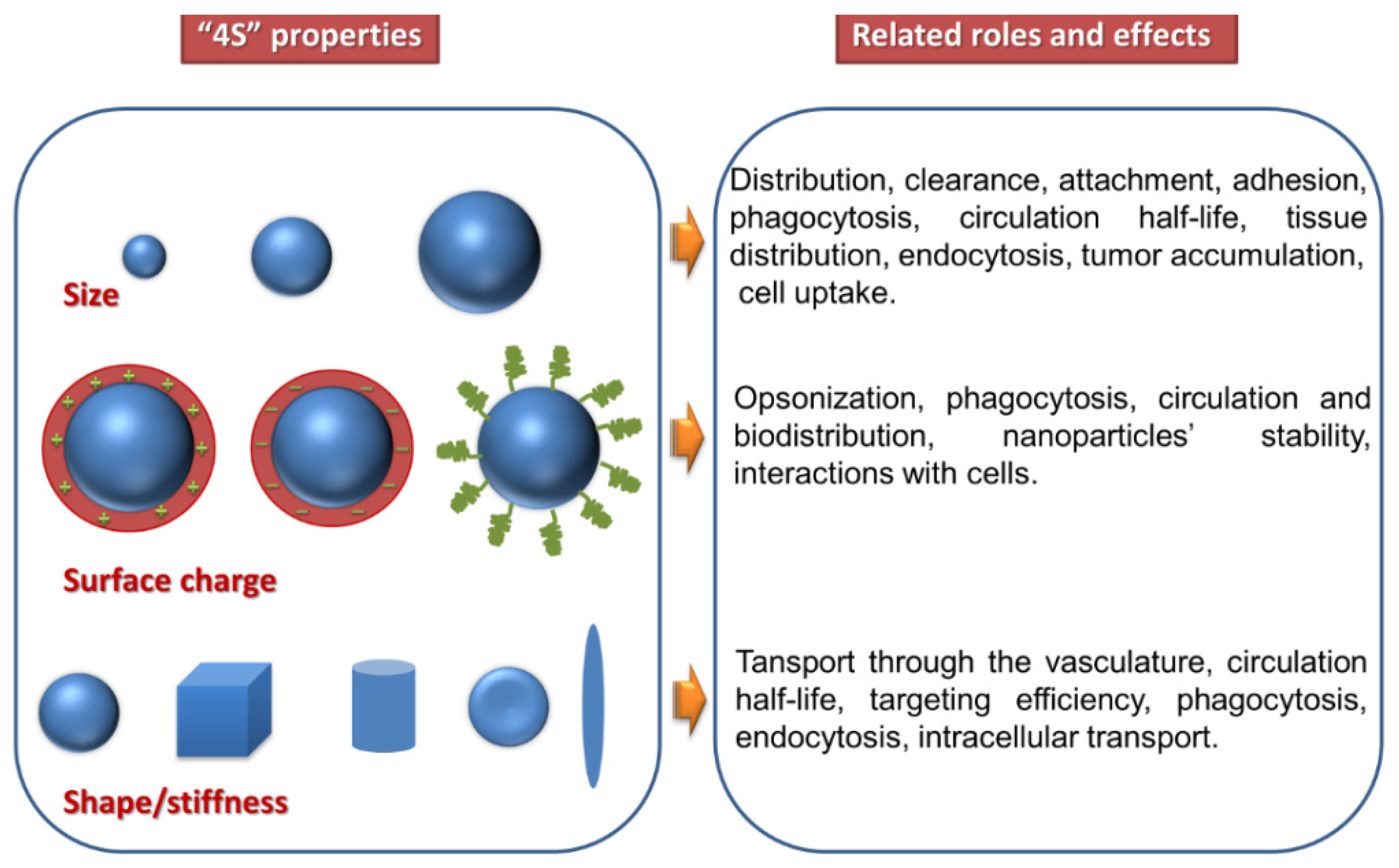 Pharmaceutics 14 00308 g010