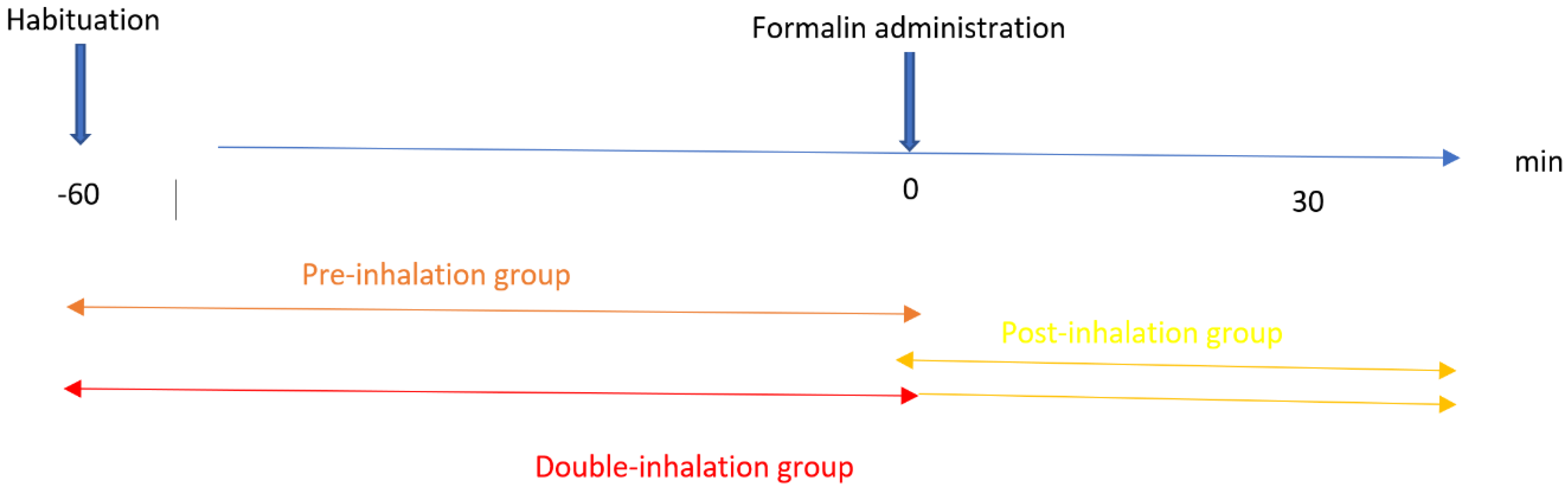 Pharmaceutics 14 00312 g001 550