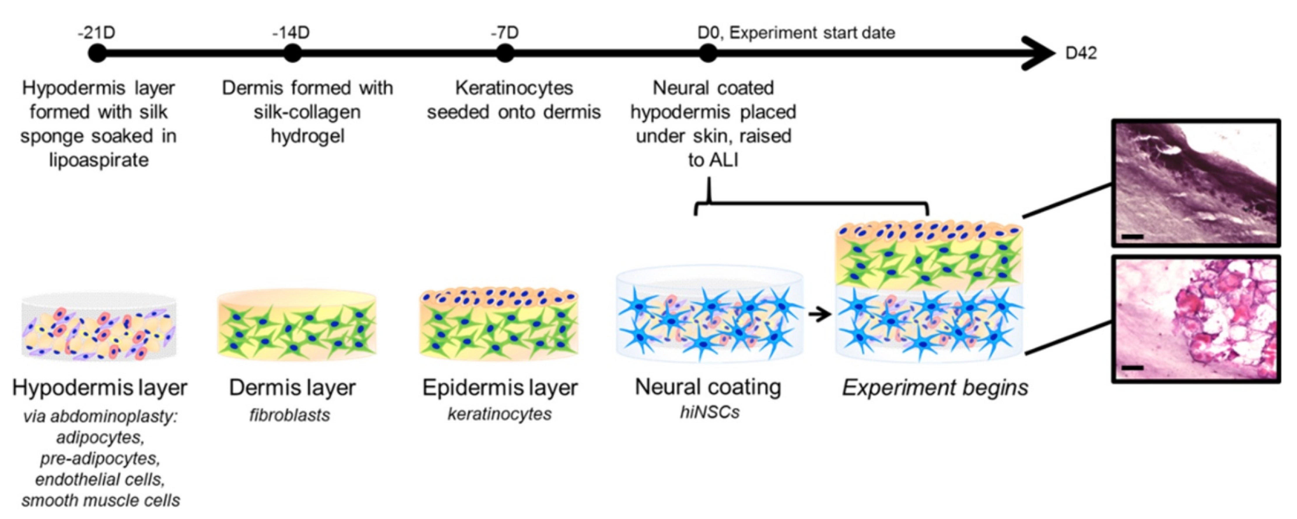 Pharmaceutics 14 00319 g006 Pharmaceutics 14 00319 g006
