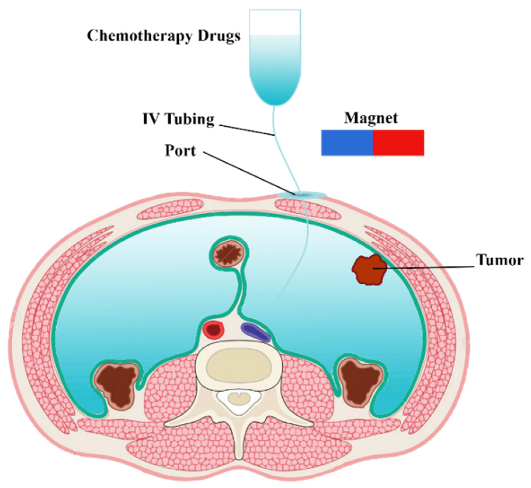 Pharmaceutics 14 00324 g001 550