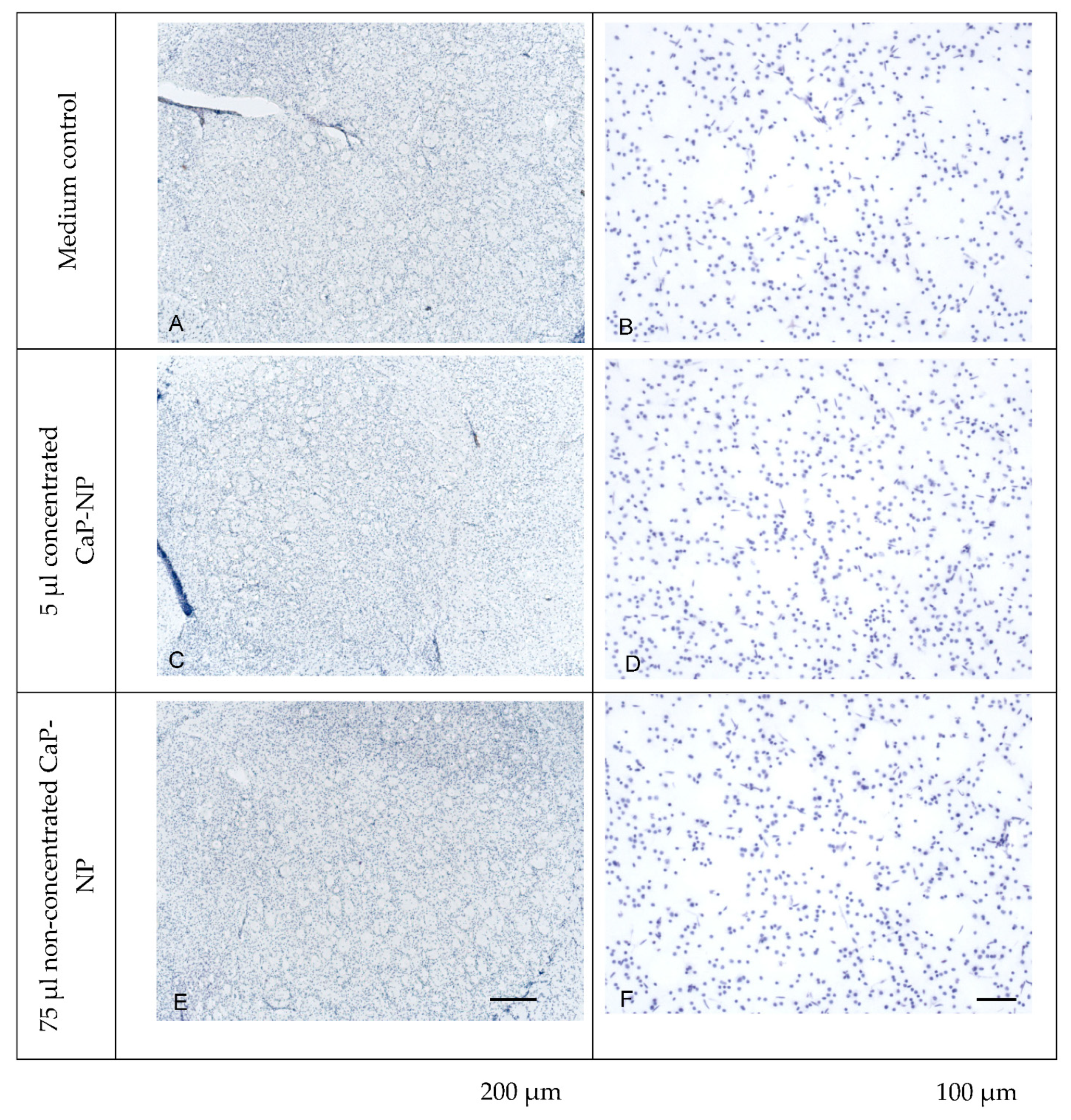 Pharmaceutics 14 00326 g010 Pharmaceutics 14 00326 g010