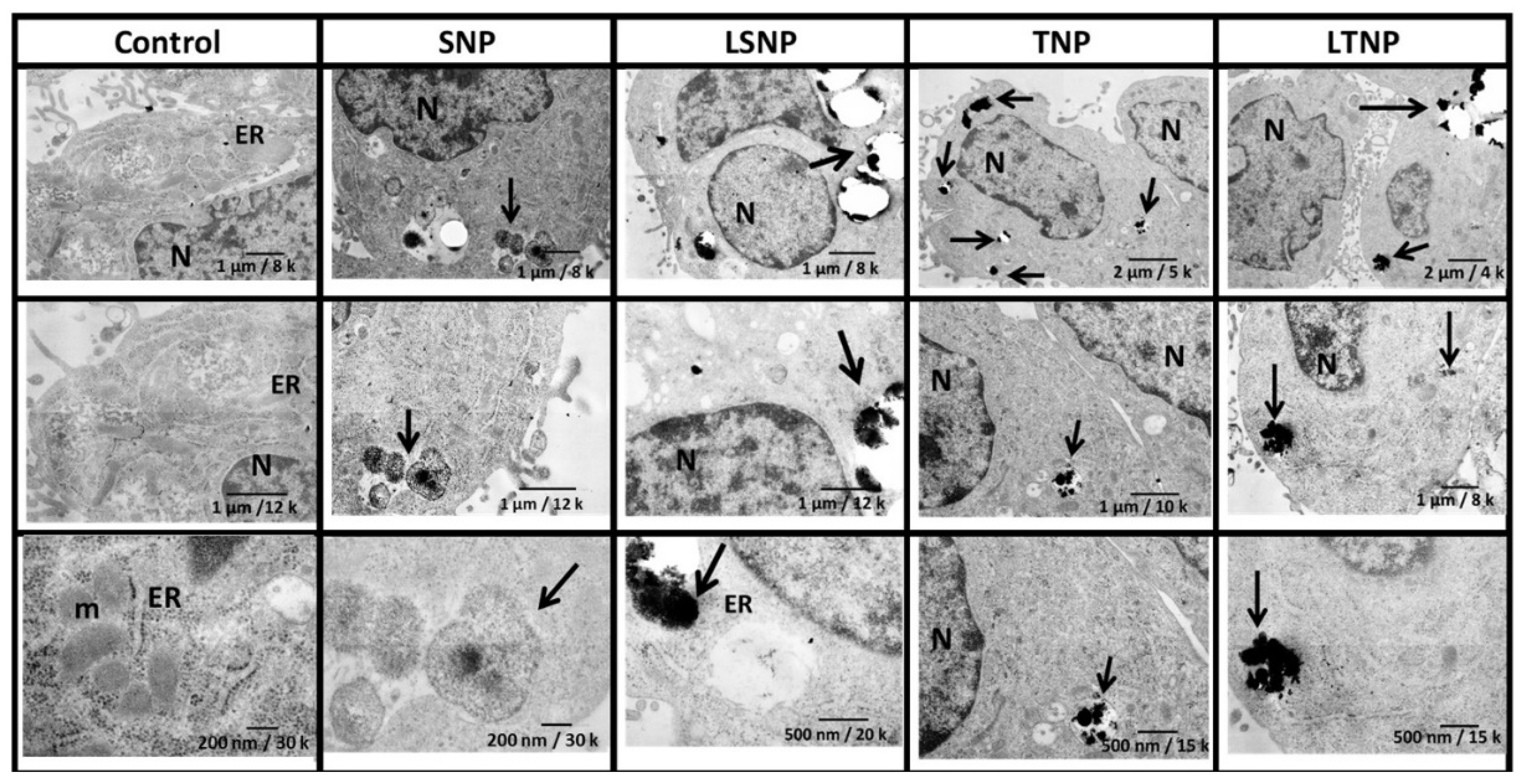 Pharmaceutics 14 00327 g003