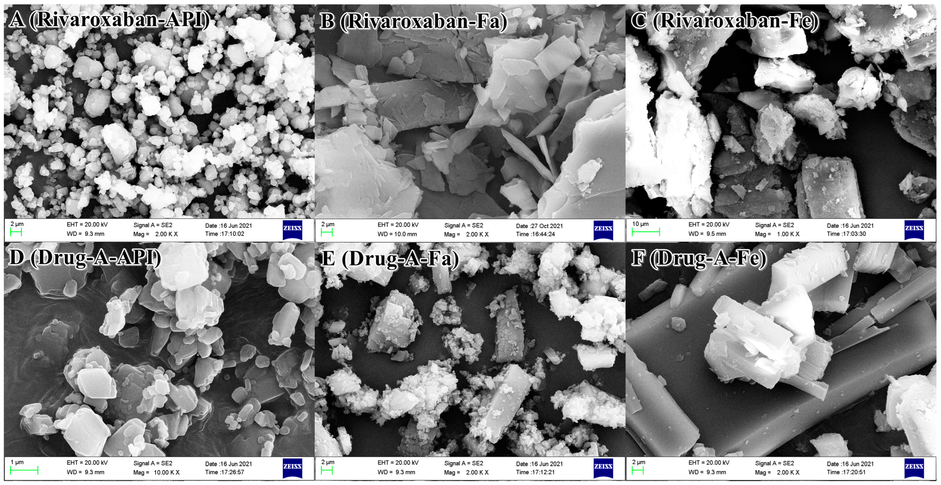 Pharmaceutics 14 00330 g002 550