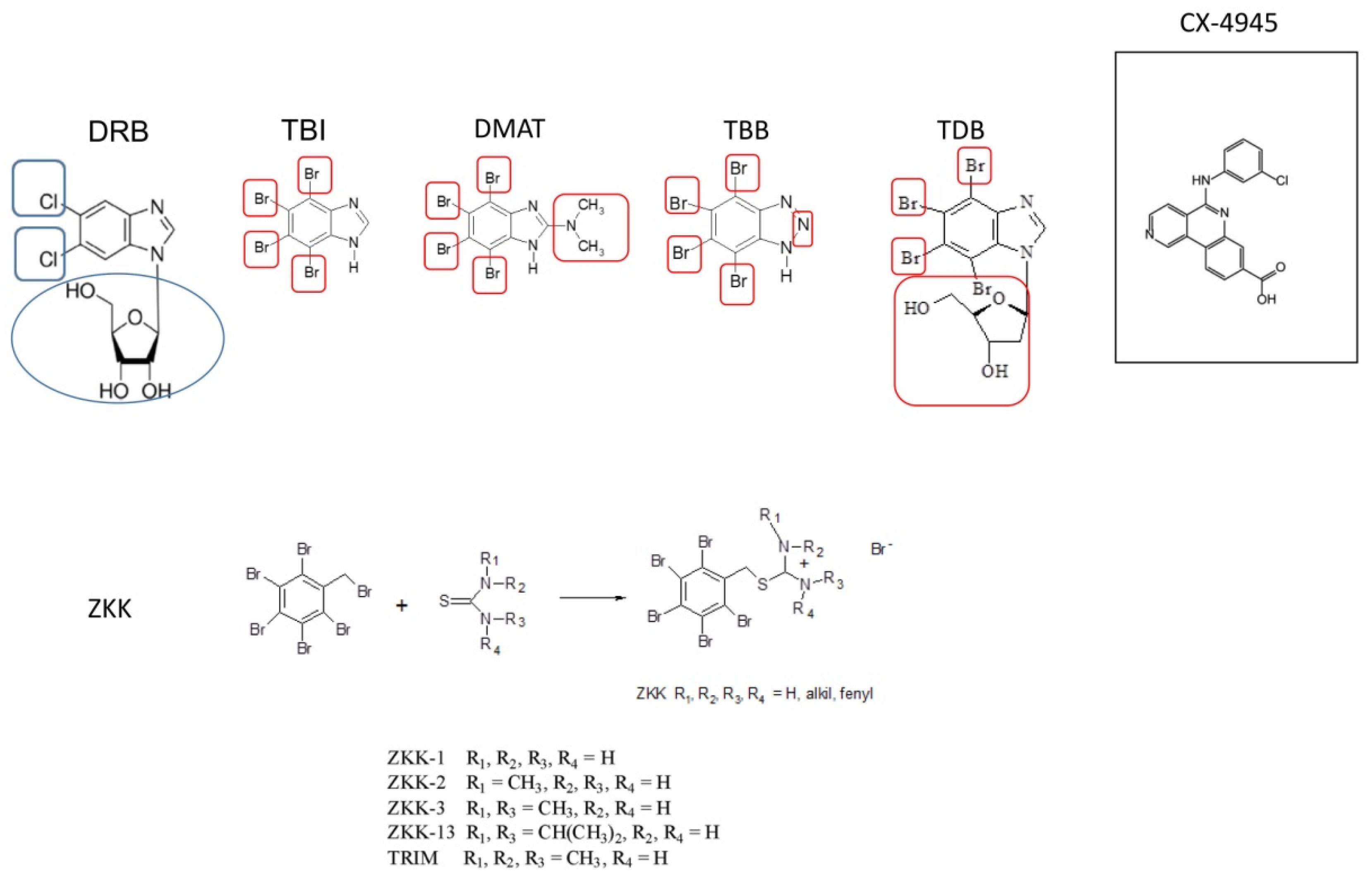 Pharmaceutics 14 00331 g002 Pharmaceutics 14 00331 g002