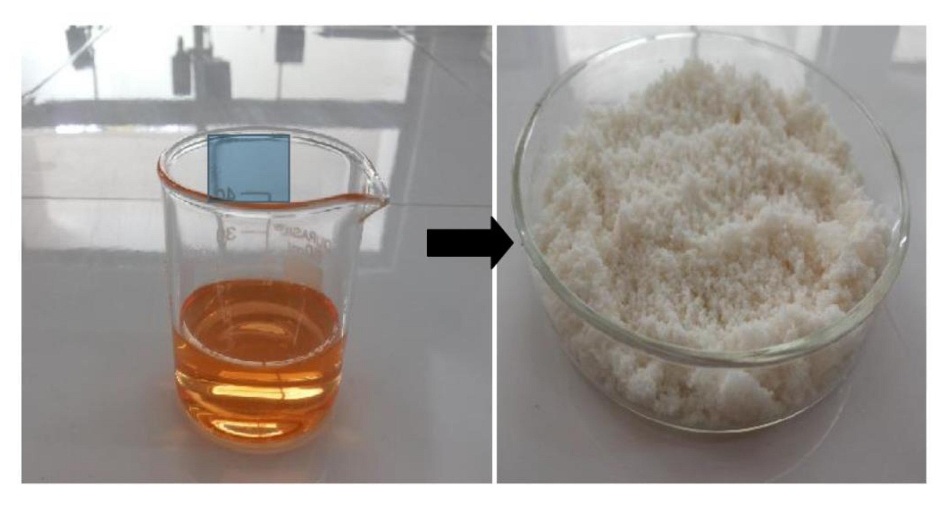 Pharmaceutics 14 00336 g008