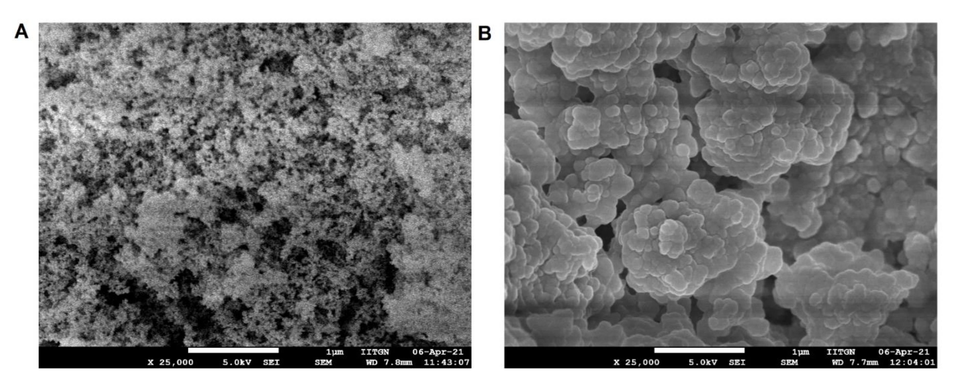 Pharmaceutics 14 00336 g013