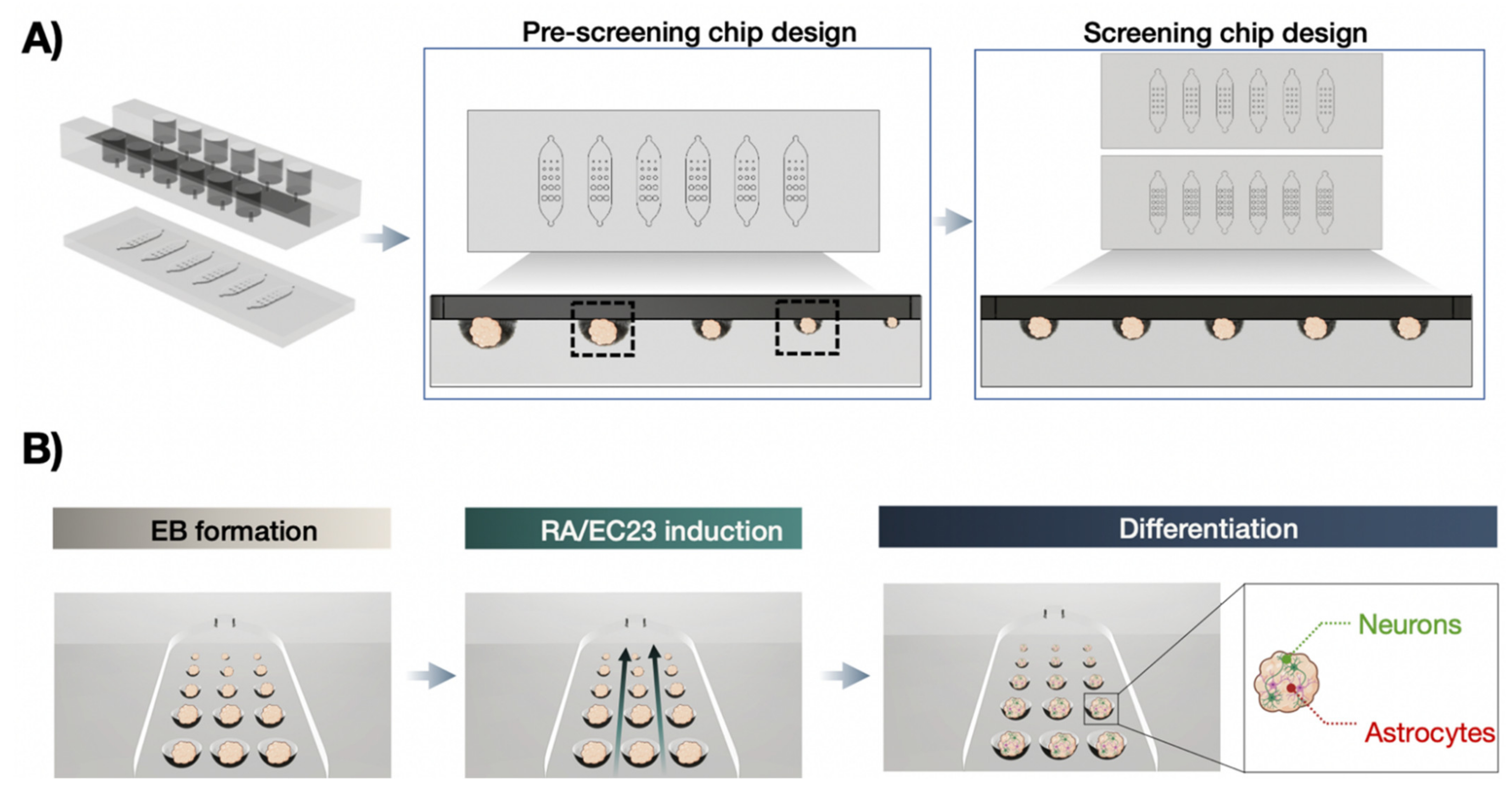 Pharmaceutics 14 00339 g001 550