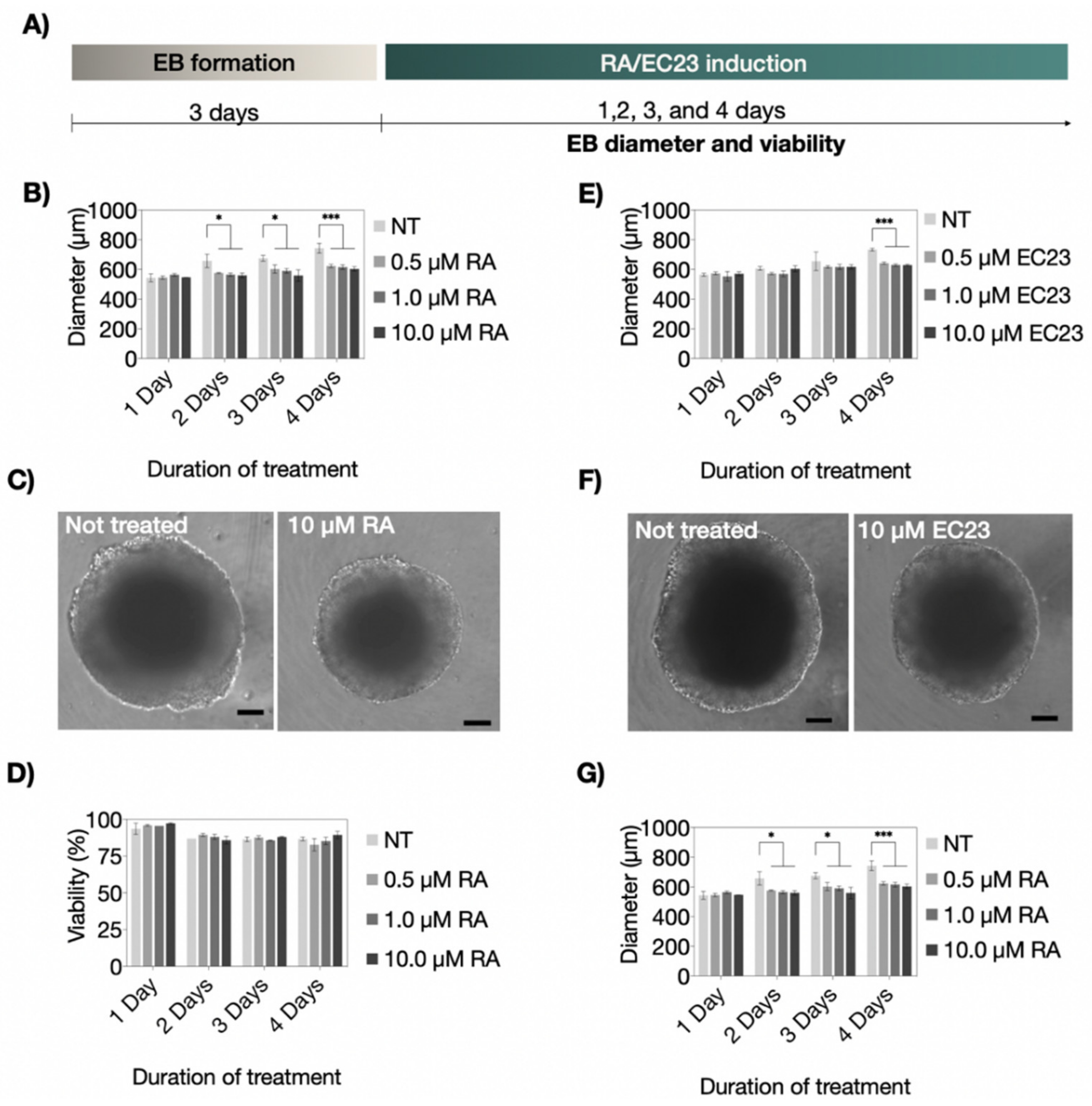 Pharmaceutics 14 00339 g002 550