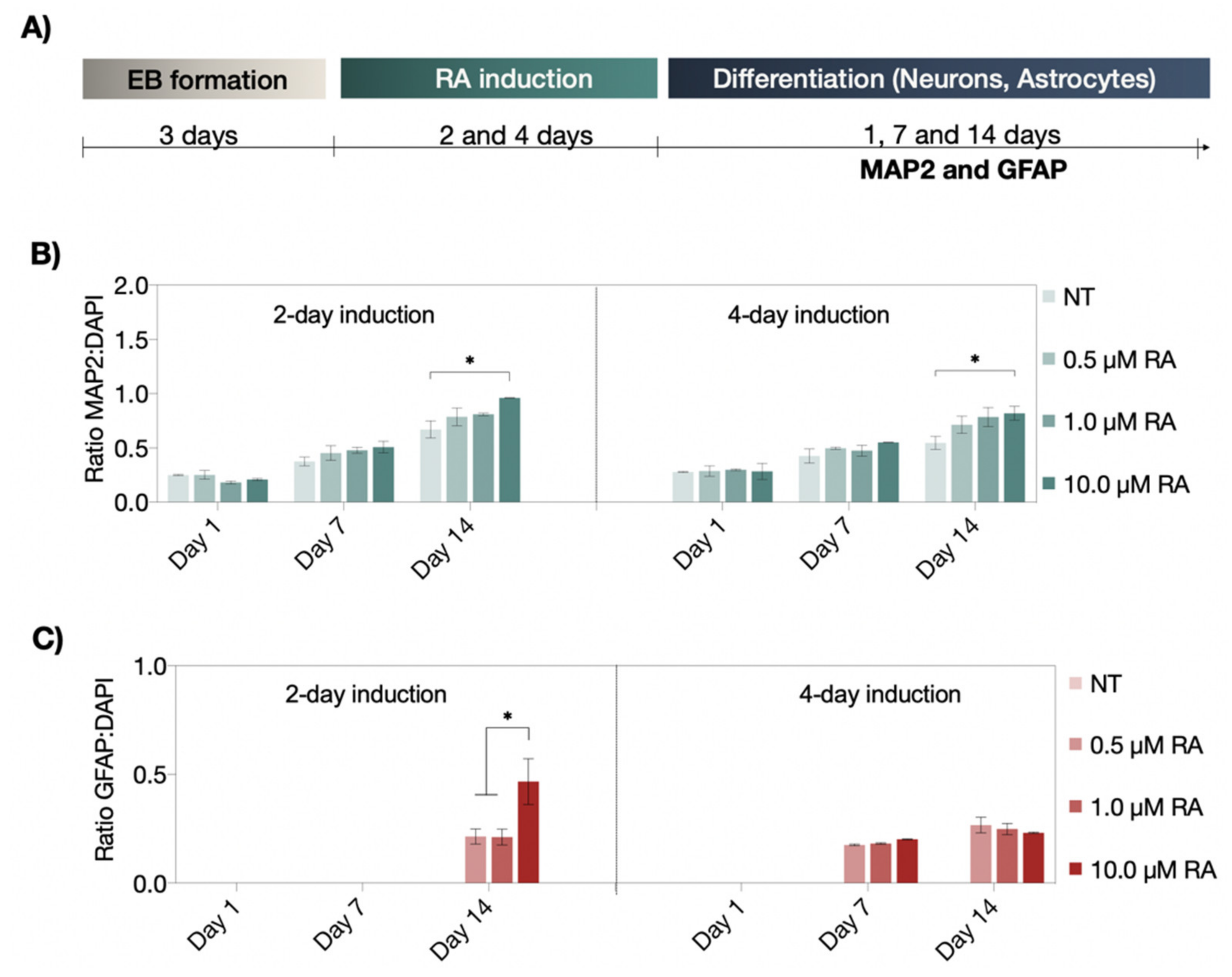 Pharmaceutics 14 00339 g003 550