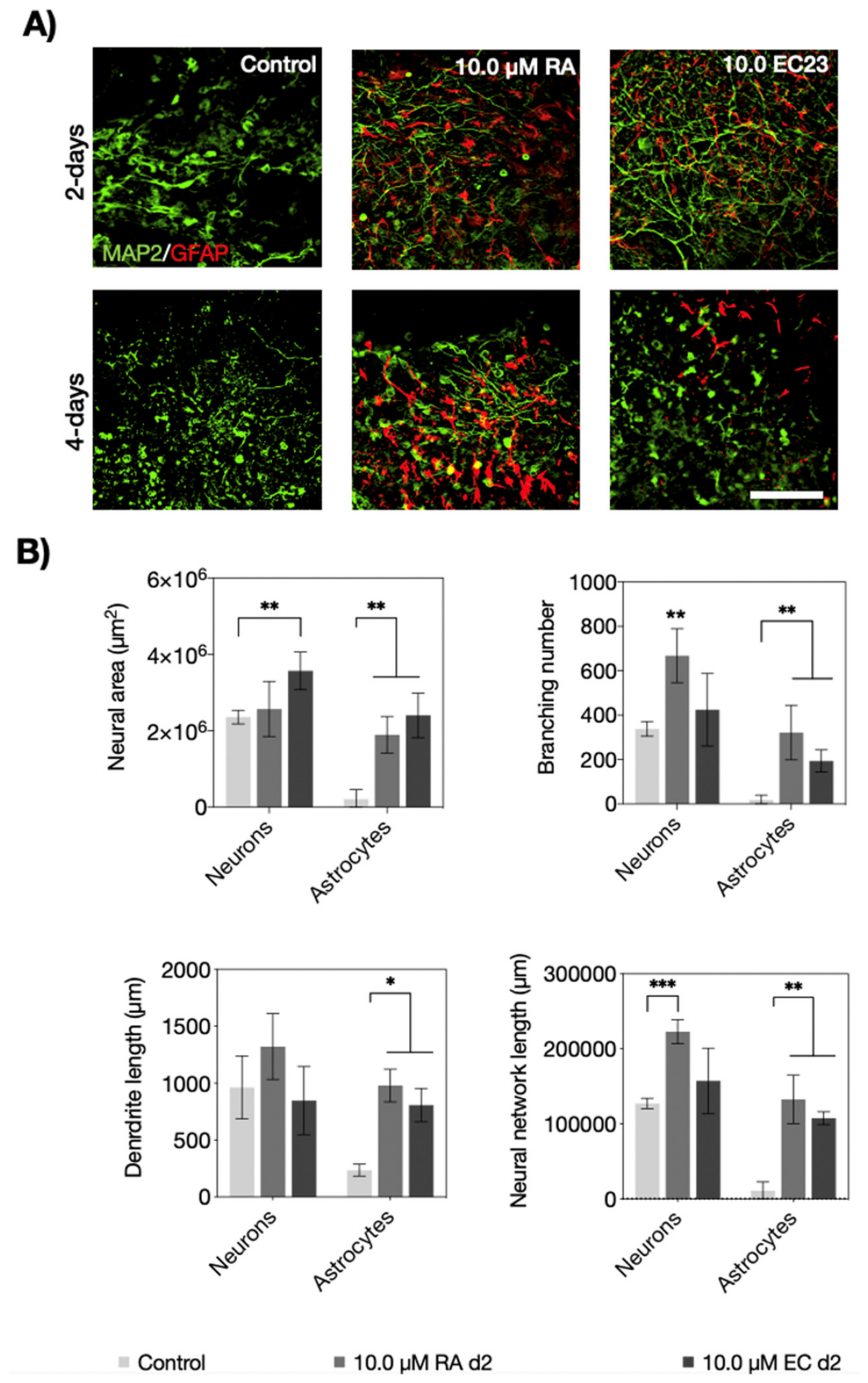 Pharmaceutics 14 00339 g005 550
