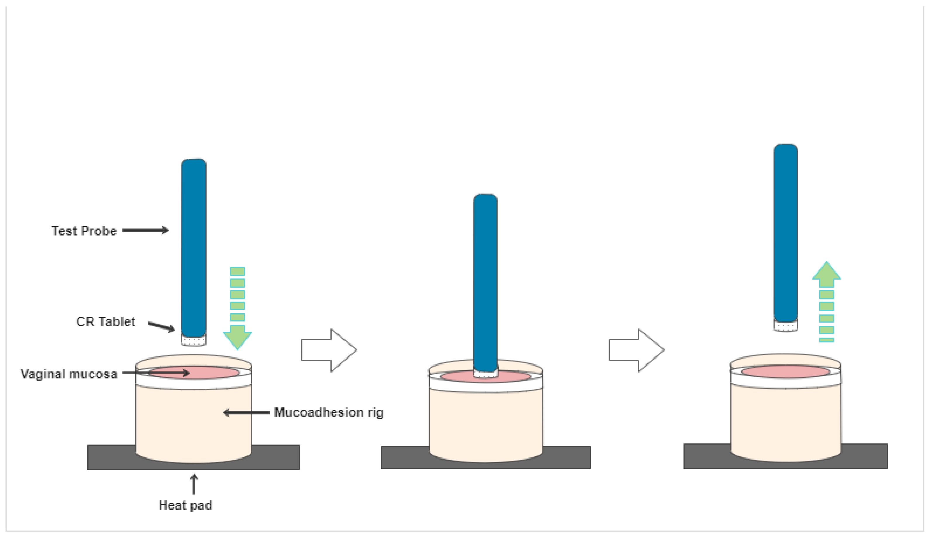 Pharmaceutics 14 00340 g004 Pharmaceutics 14 00340 g004