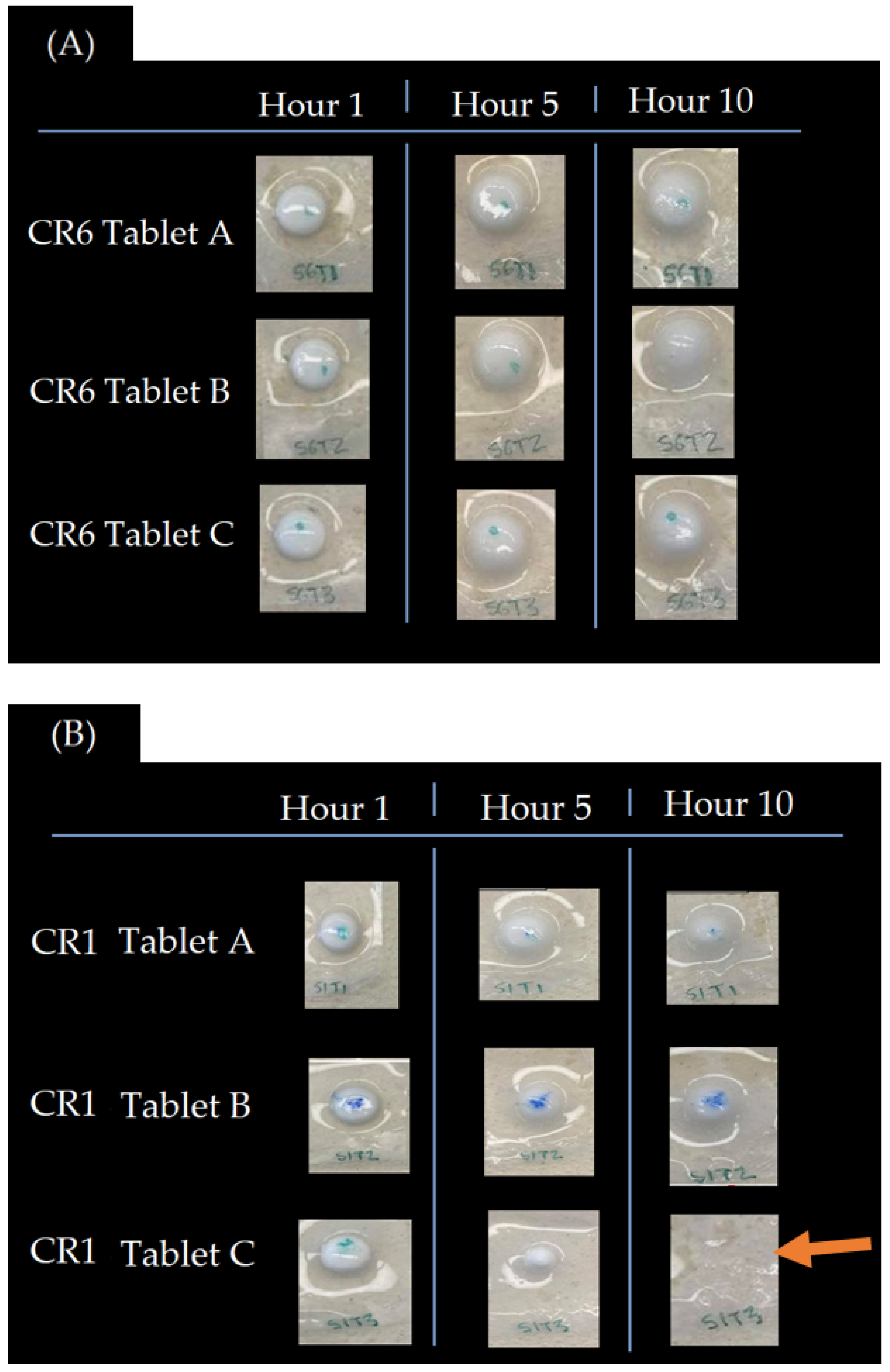 Pharmaceutics 14 00340 g009 Pharmaceutics 14 00340 g009