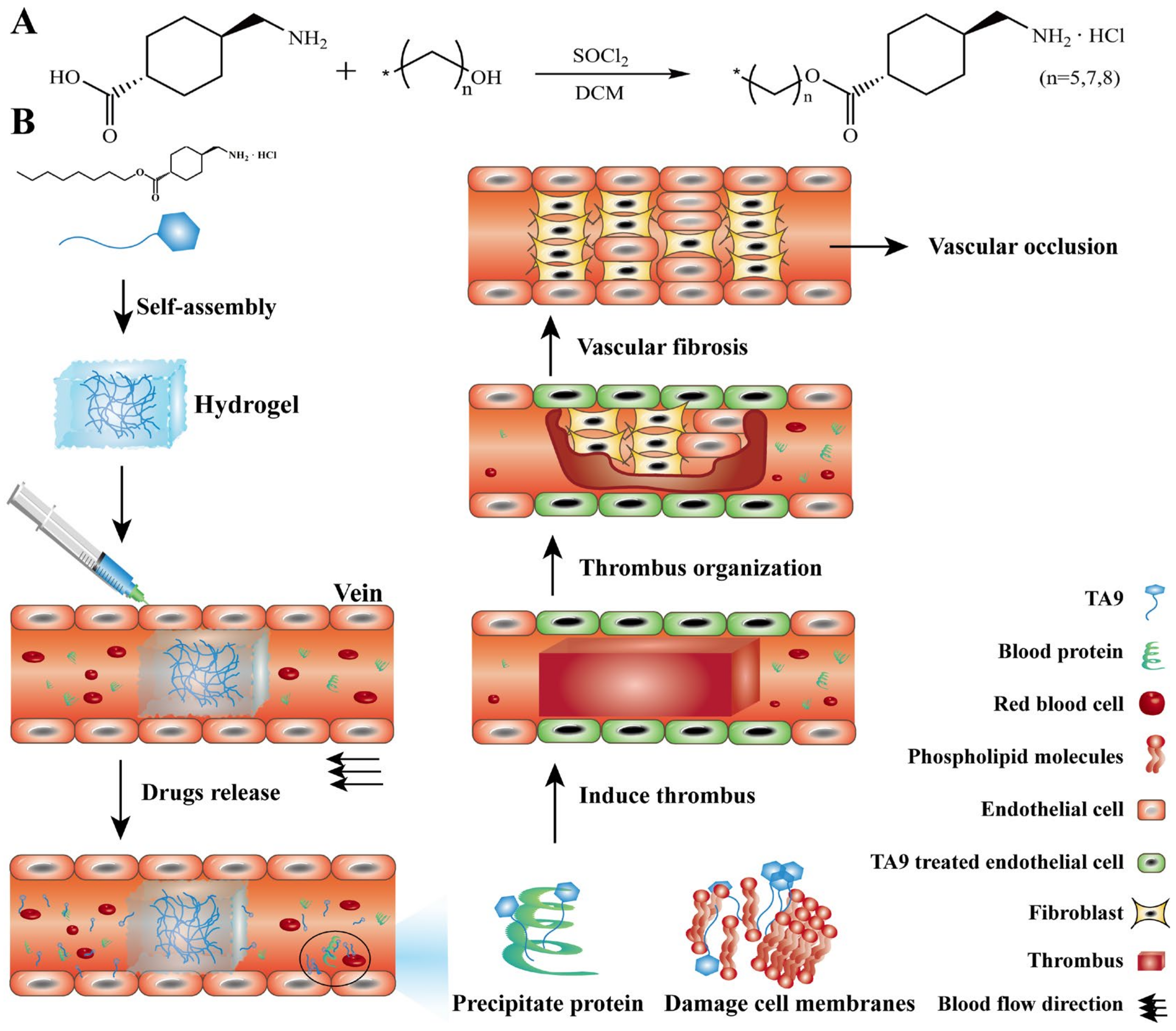 Pharmaceutics 14 00343 g001 Pharmaceutics 14 00343 g001