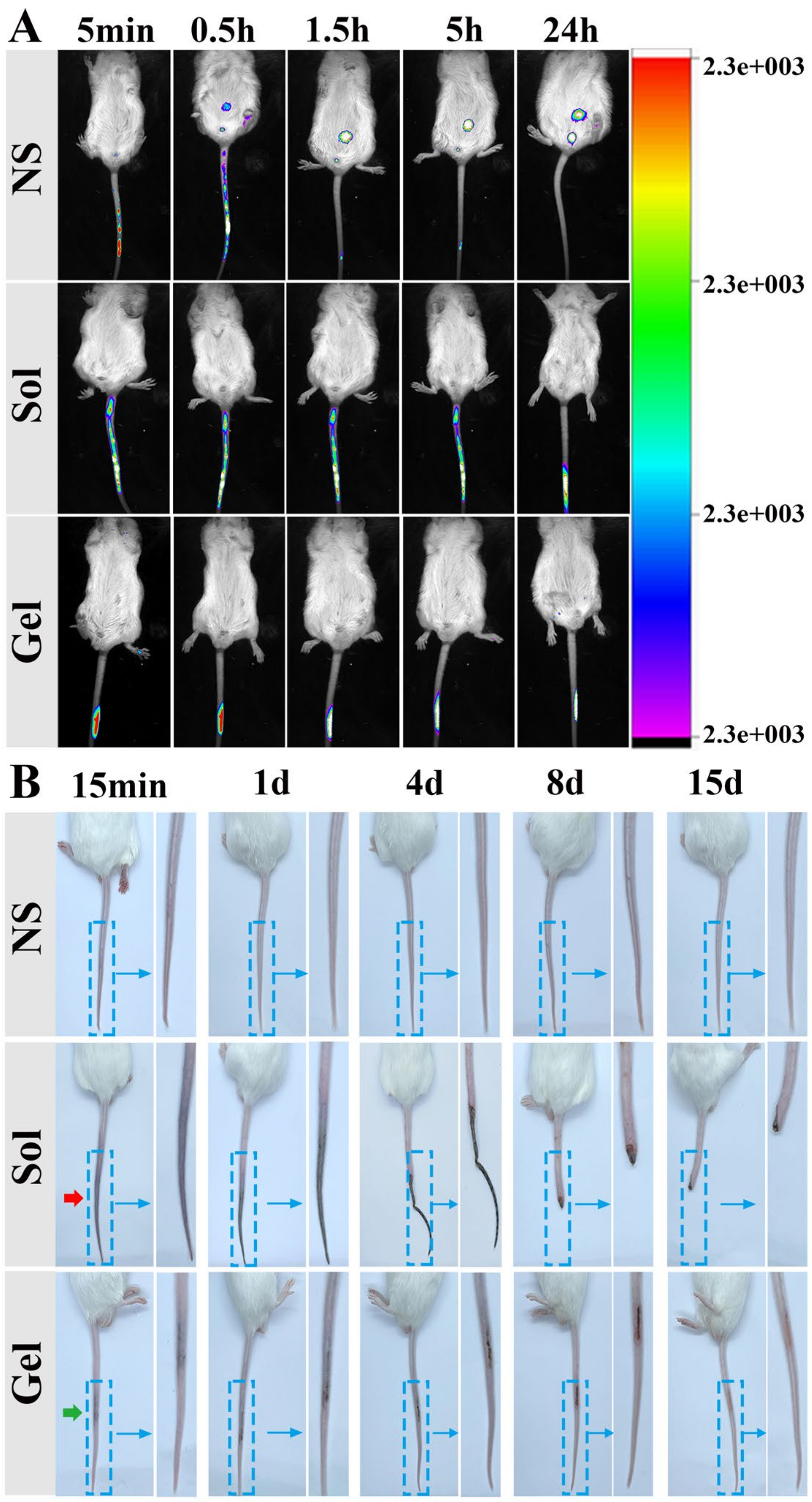 Pharmaceutics 14 00343 g007 Pharmaceutics 14 00343 g007