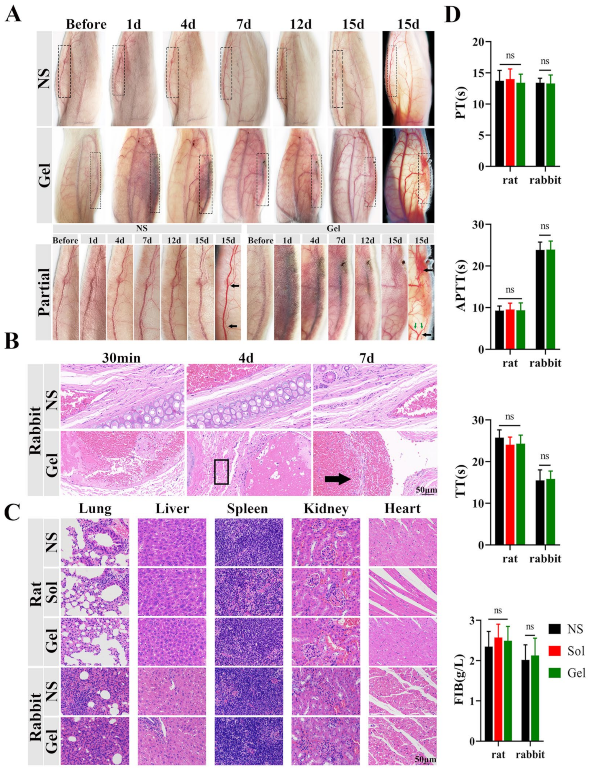 Pharmaceutics 14 00343 g008 Pharmaceutics 14 00343 g008