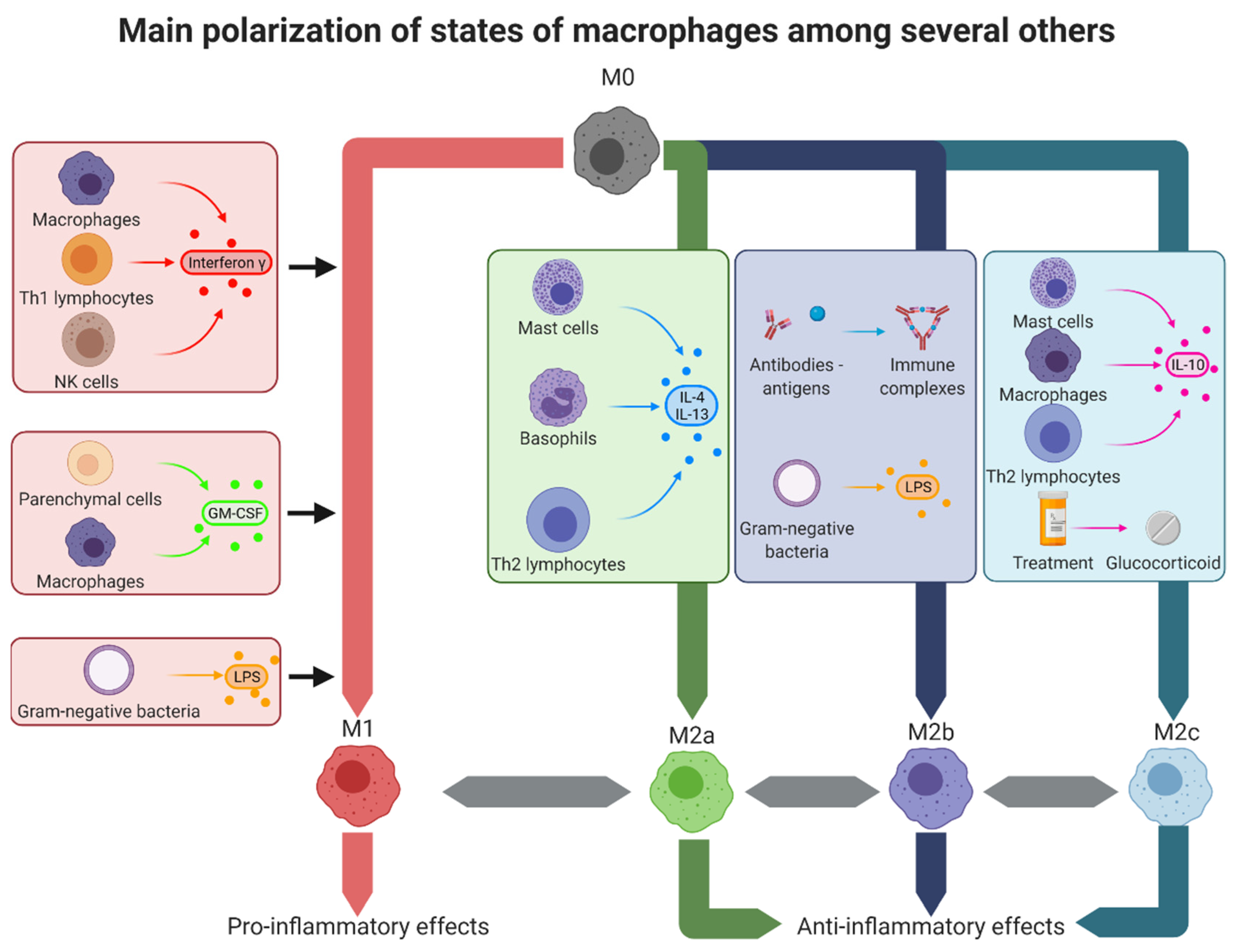 Pharmaceutics 14 00344 g002