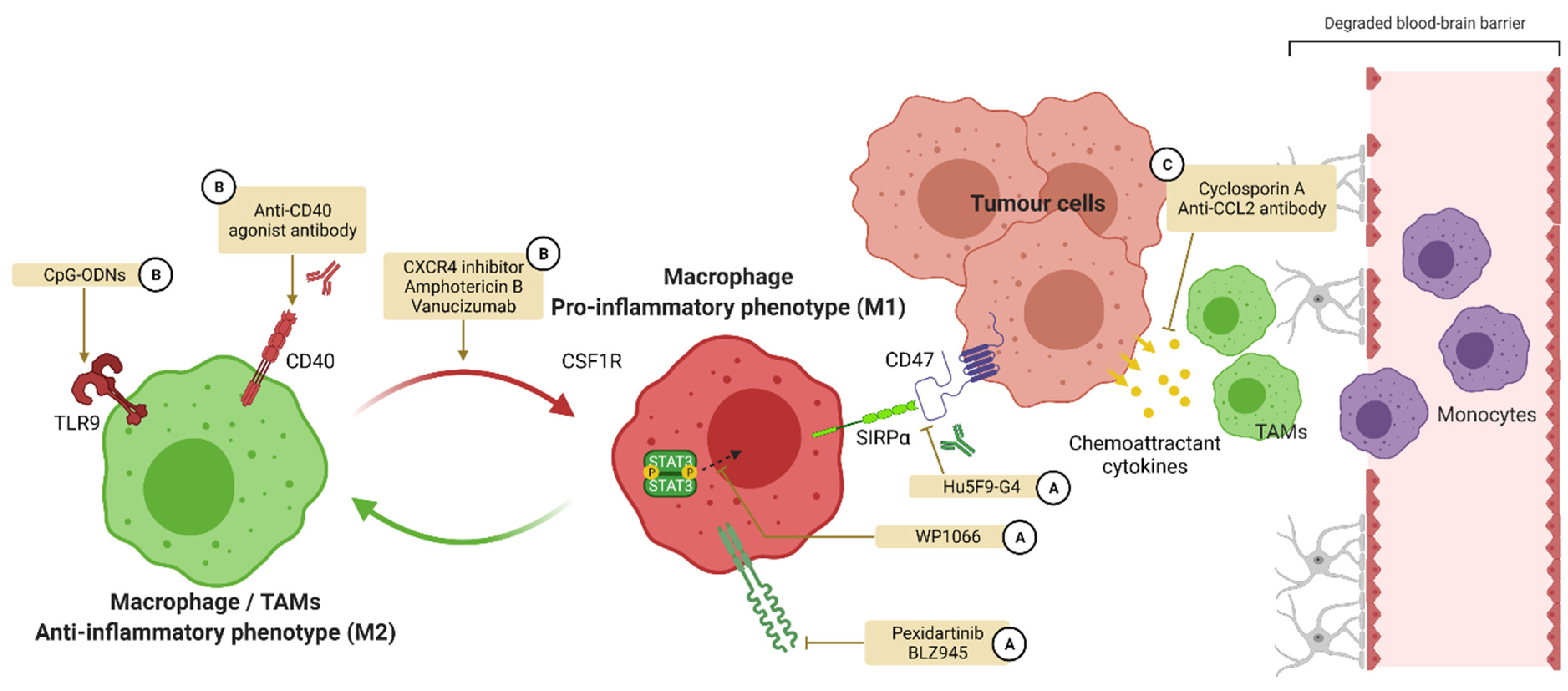 Pharmaceutics 14 00344 g005